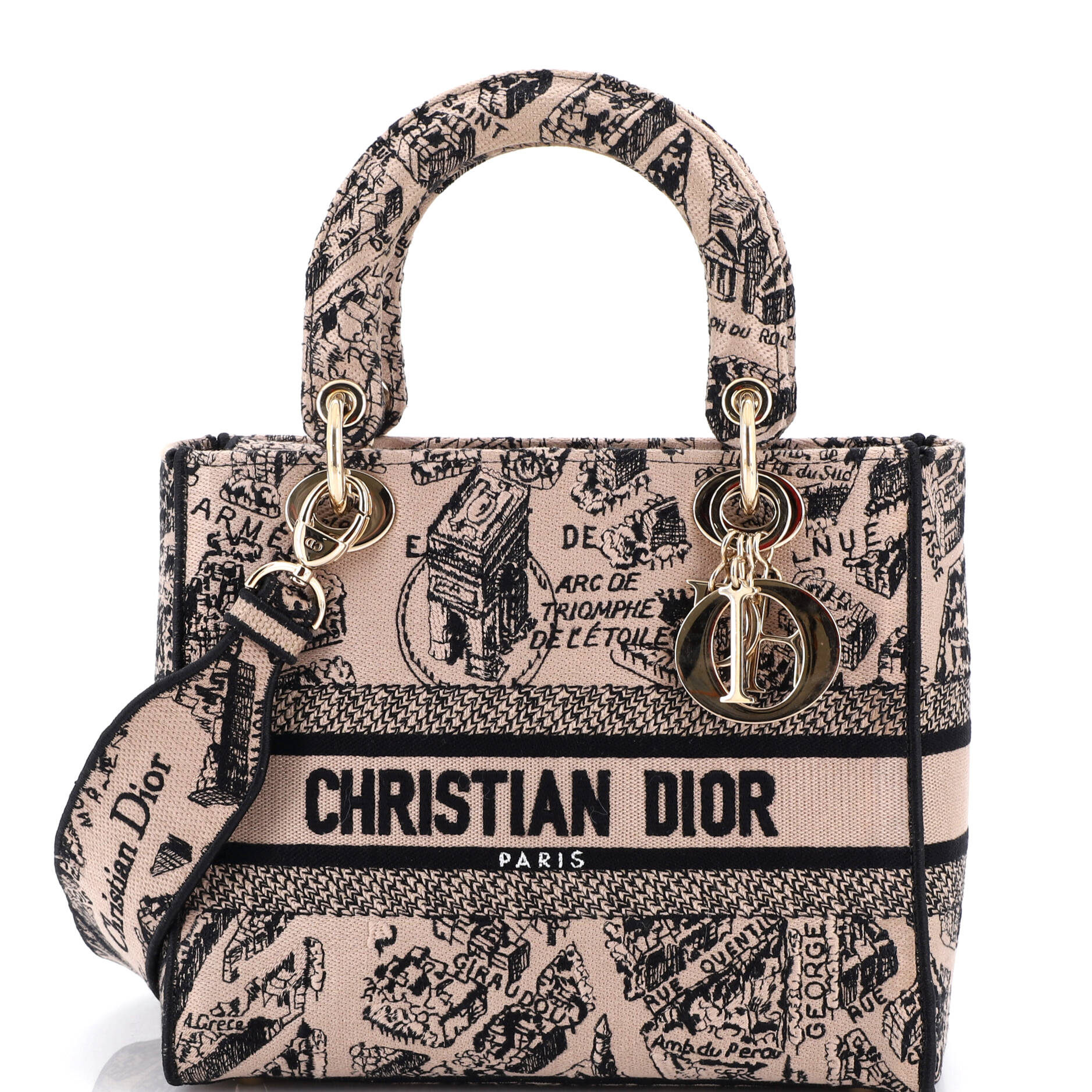 Lady D-Lite Bag Embroidered Canvas Medium