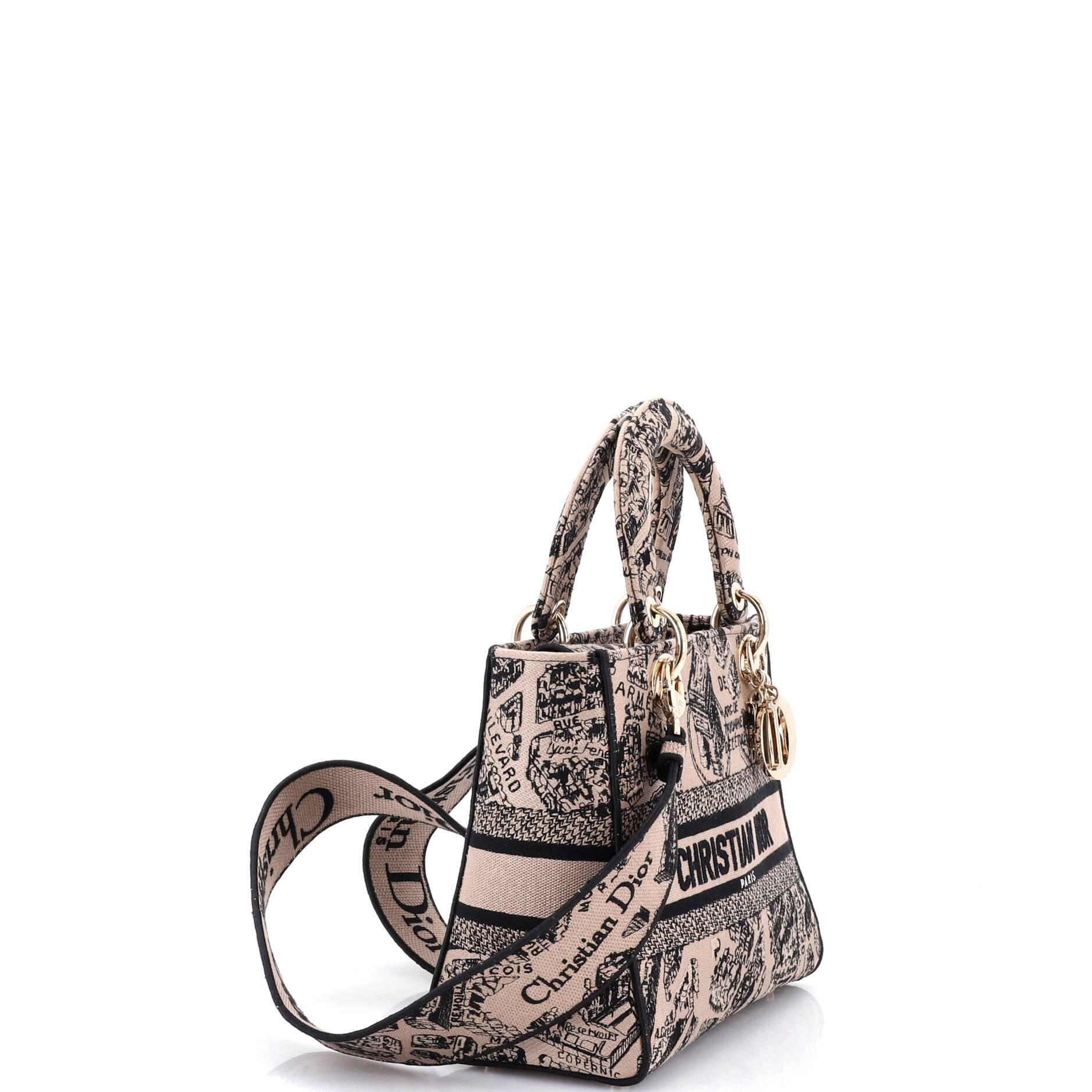 Lady D-Lite Bag Embroidered Canvas Medium