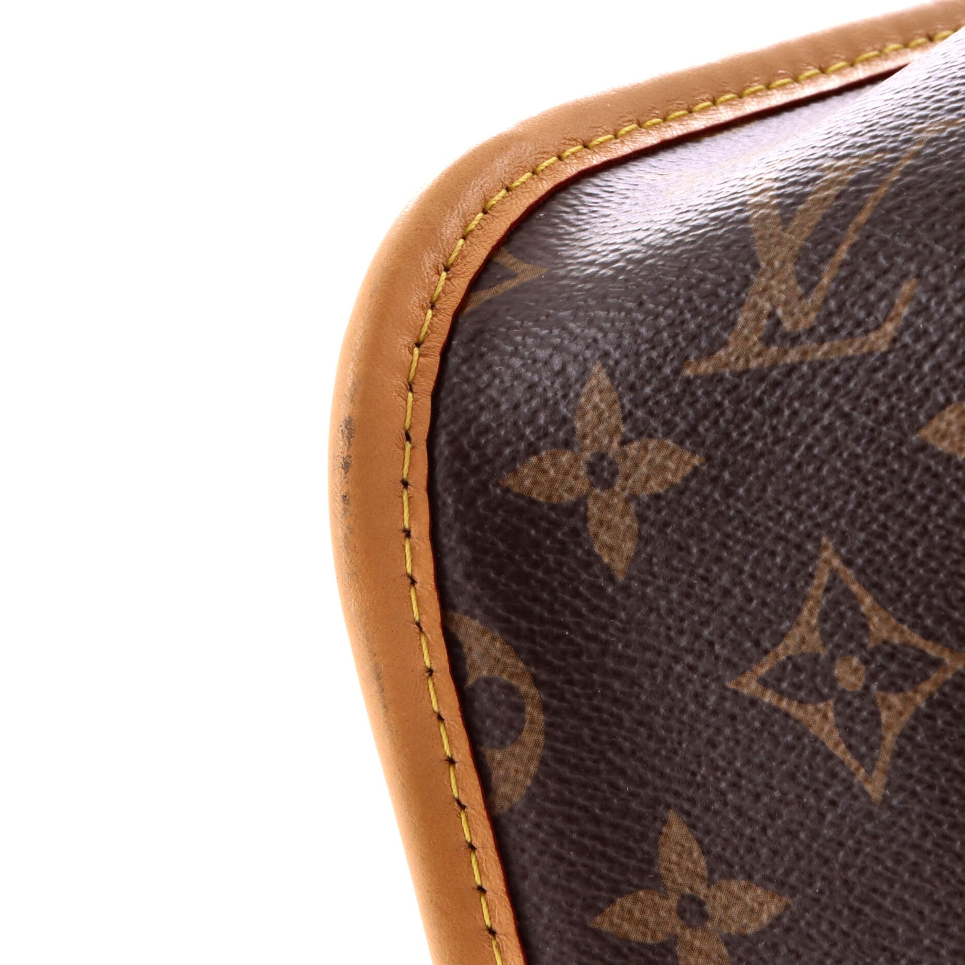 Diane NM Handbag Monogram Canvas