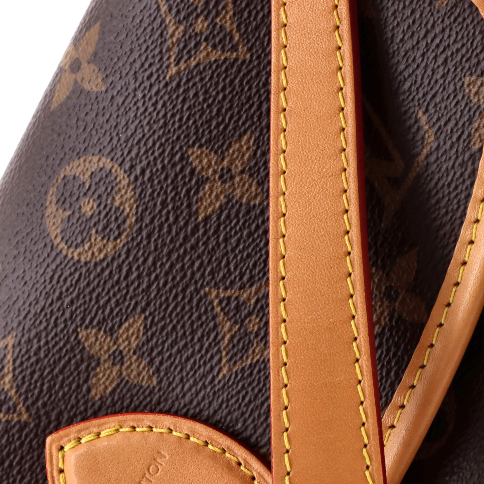 Diane NM Handbag Monogram Canvas