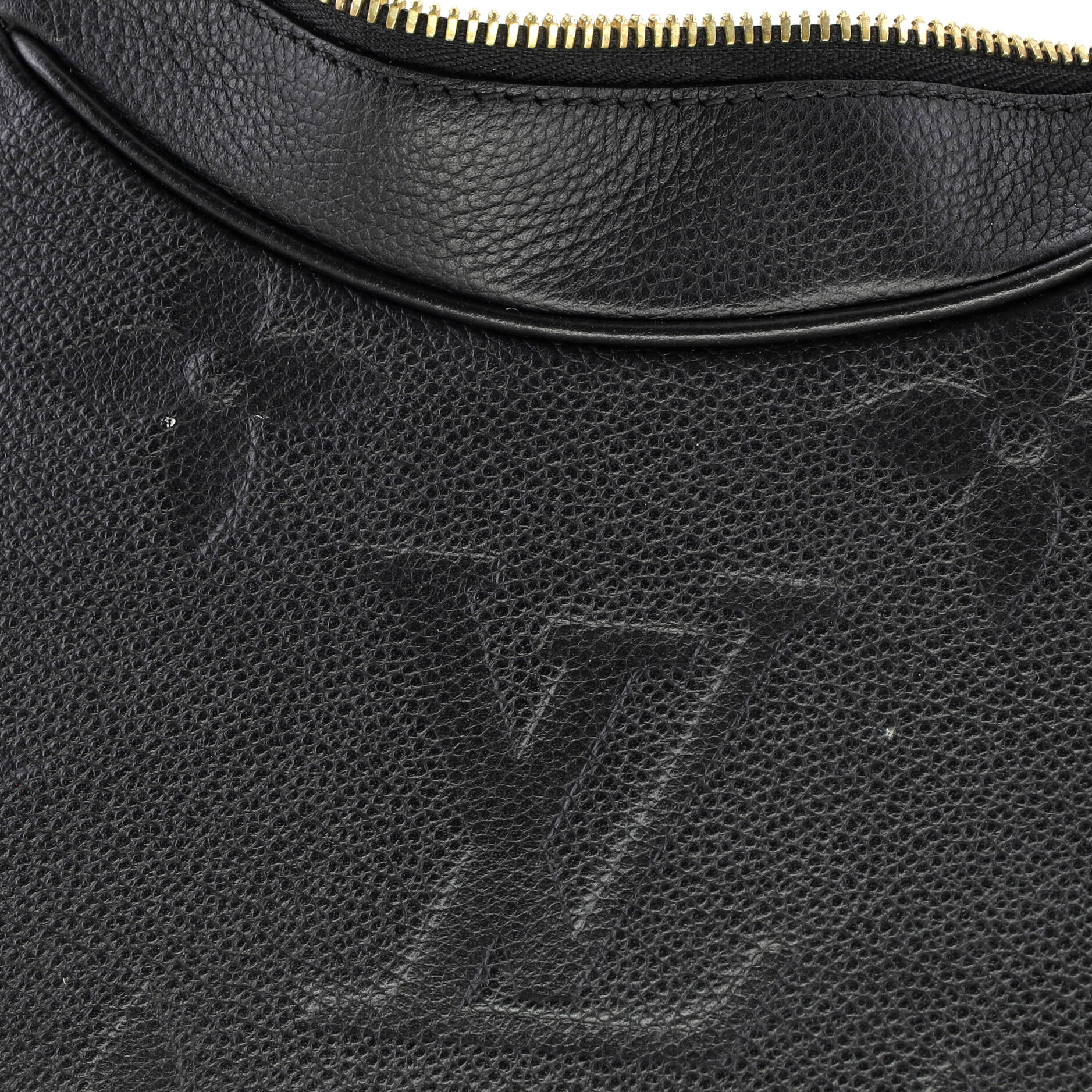 Bagatelle NM Handbag Monogram Empreinte Giant