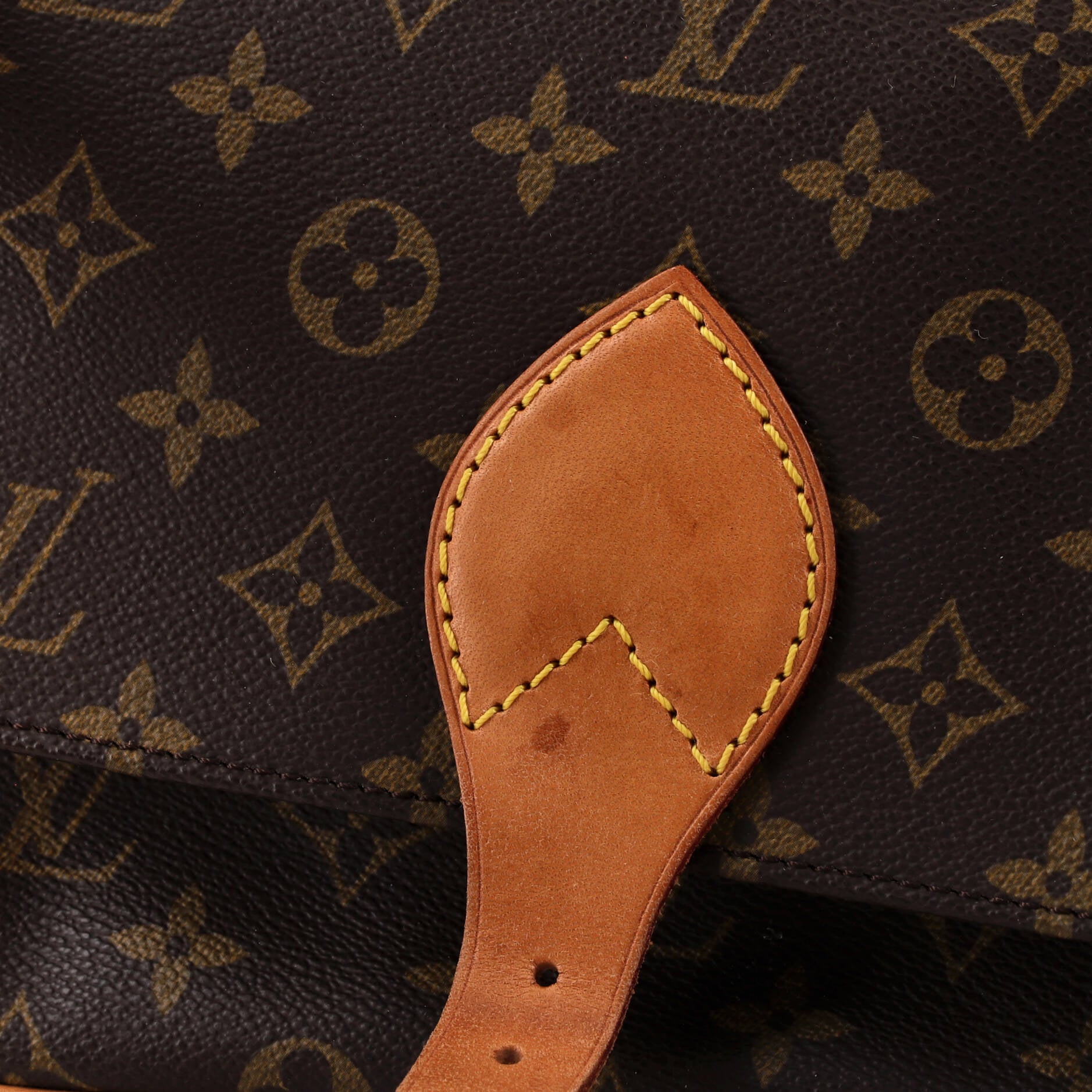Cartouchiere Handbag Monogram Canvas MM