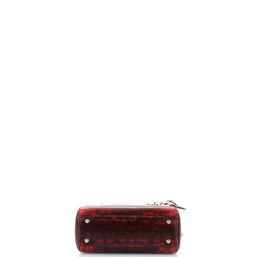 Lady Dior Chain Bag Karung Mini
