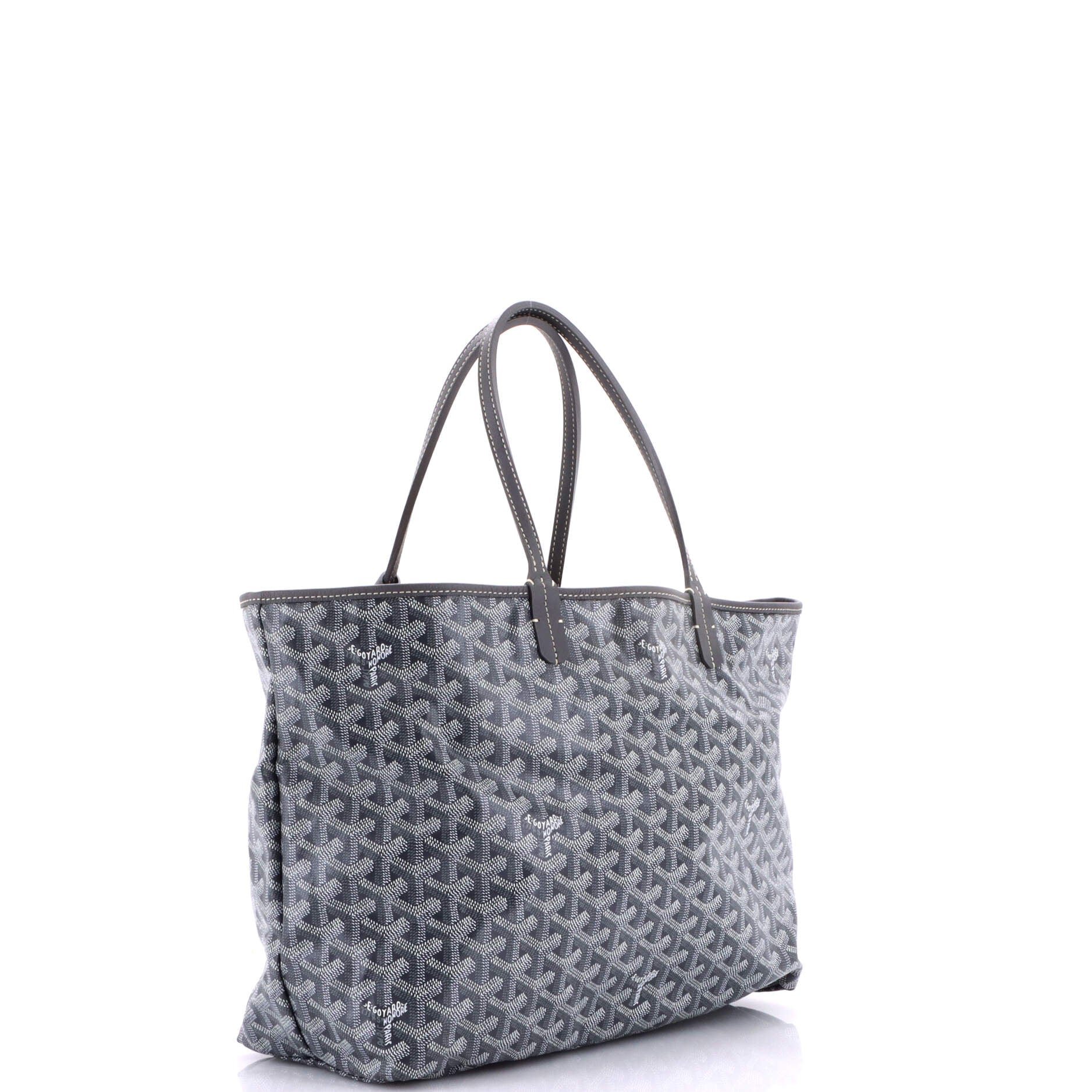 Saint Louis Tote Coated Canvas PM