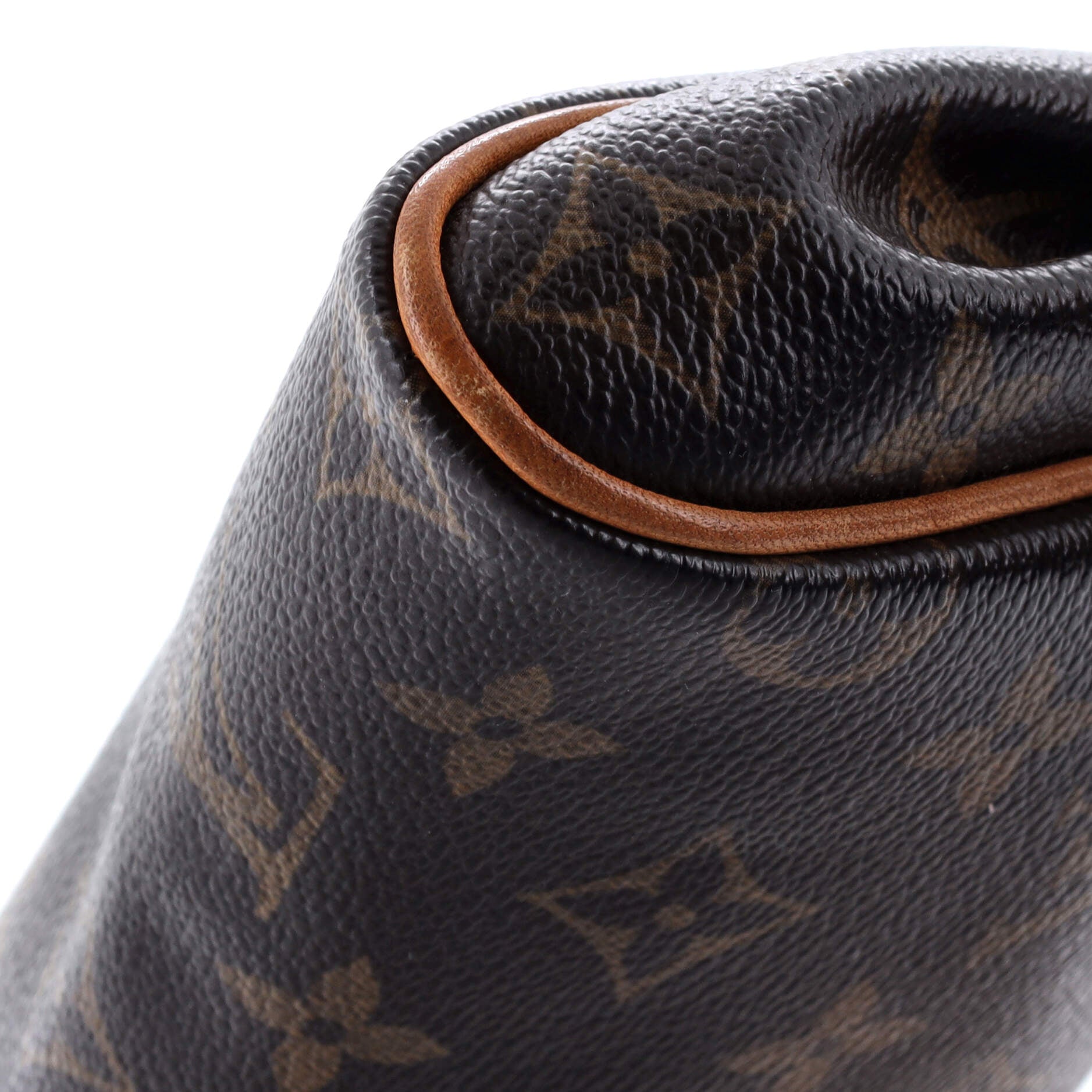 Eva Handbag Monogram Canvas