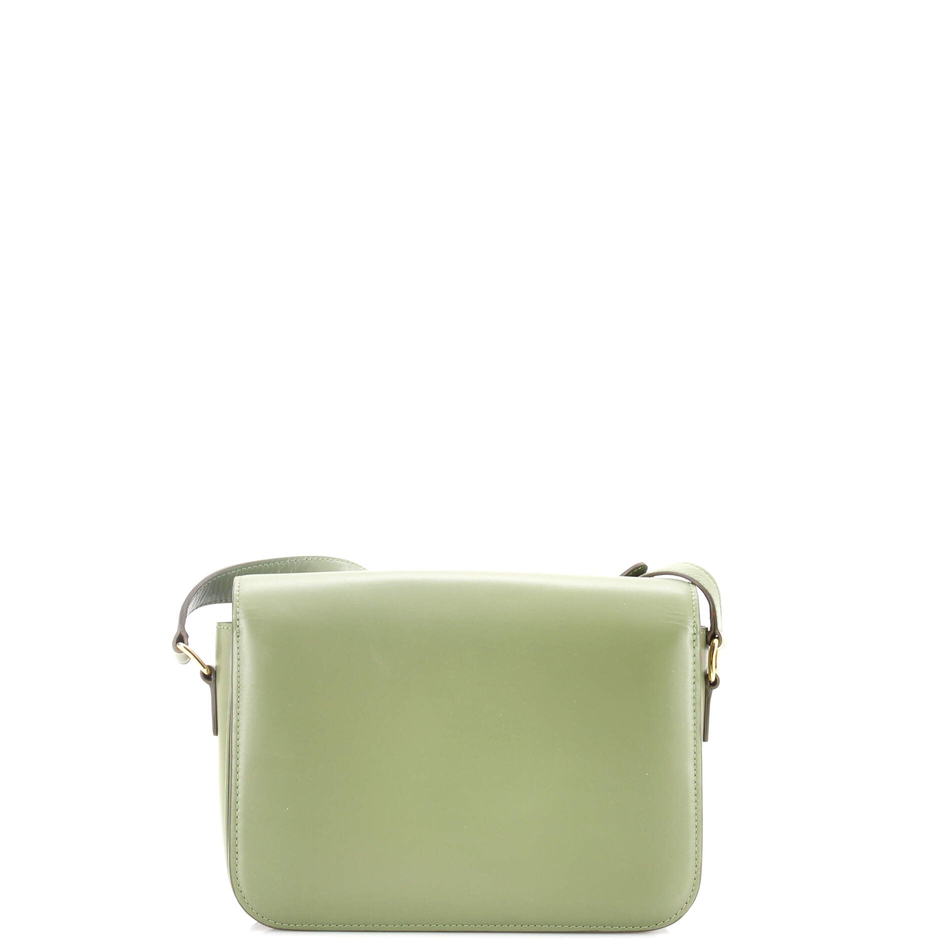 Triomphe Shoulder Bag Smooth Calfskin Medium