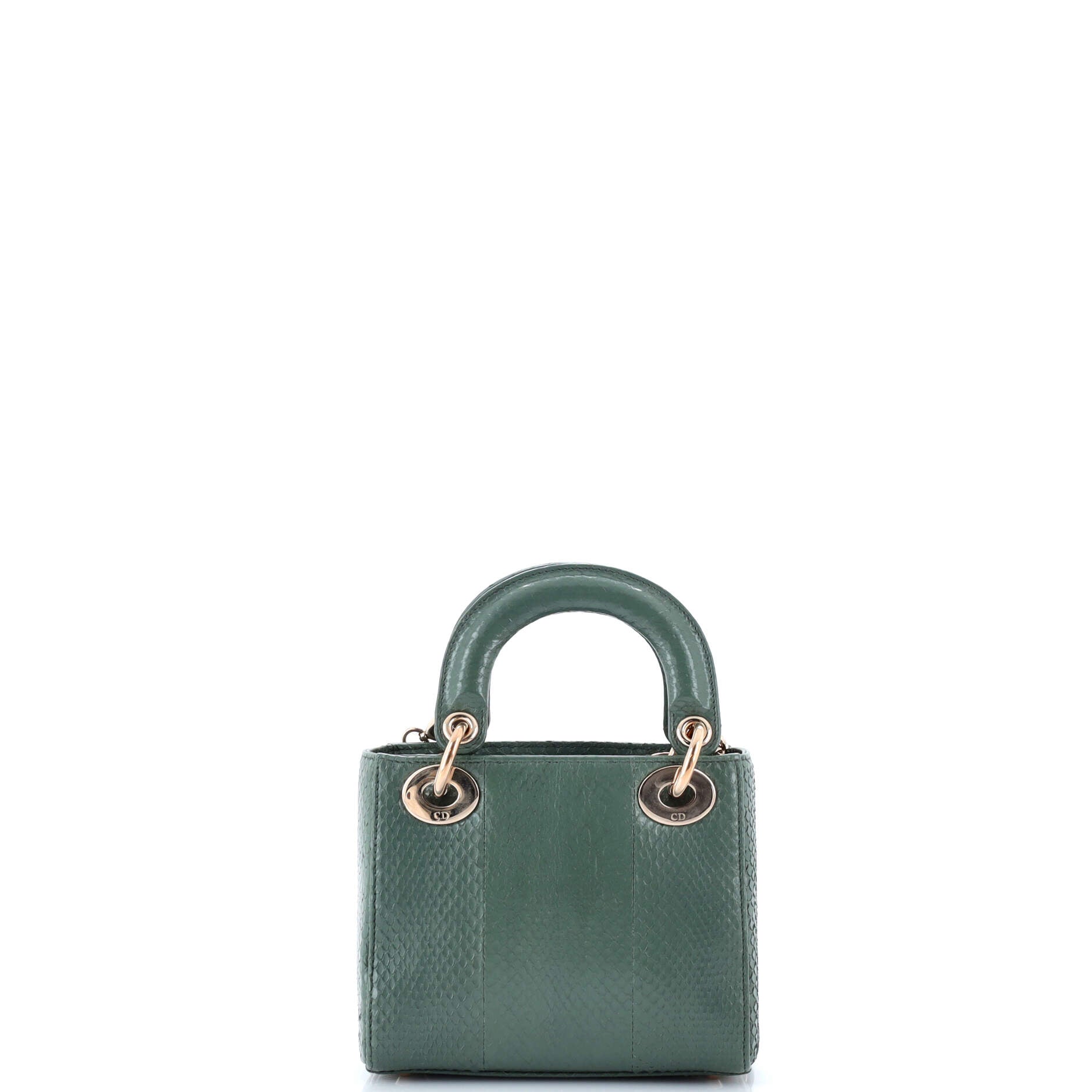 Lady Dior Chain Bag Python Mini