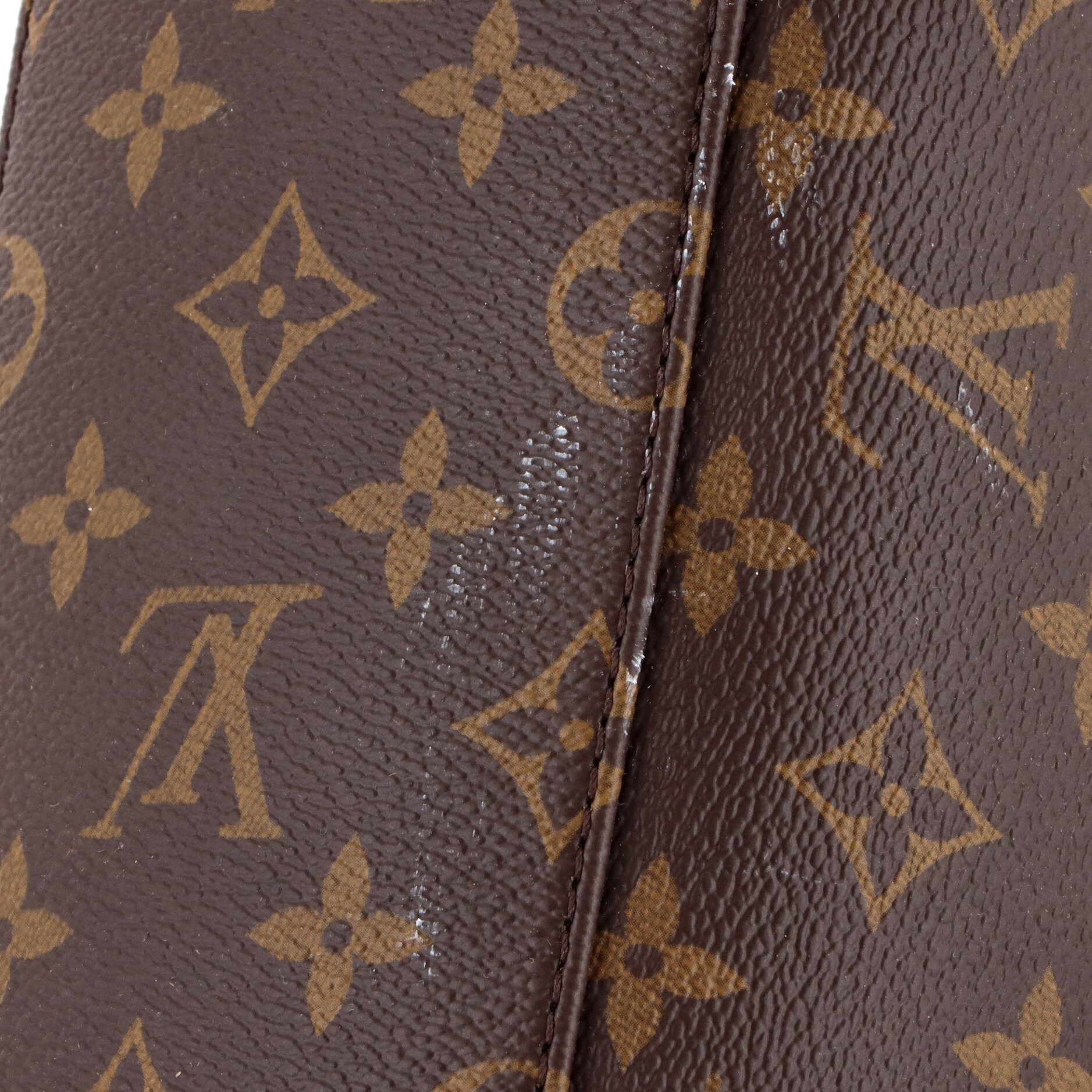 Slouchy NM Handbag Monogram Canvas PM