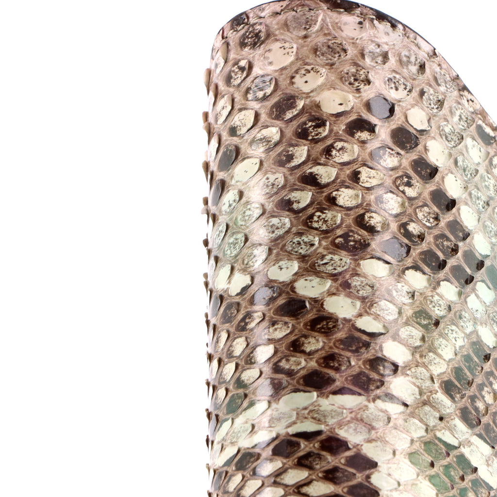 La Medusa Chain Clutch Python Mini