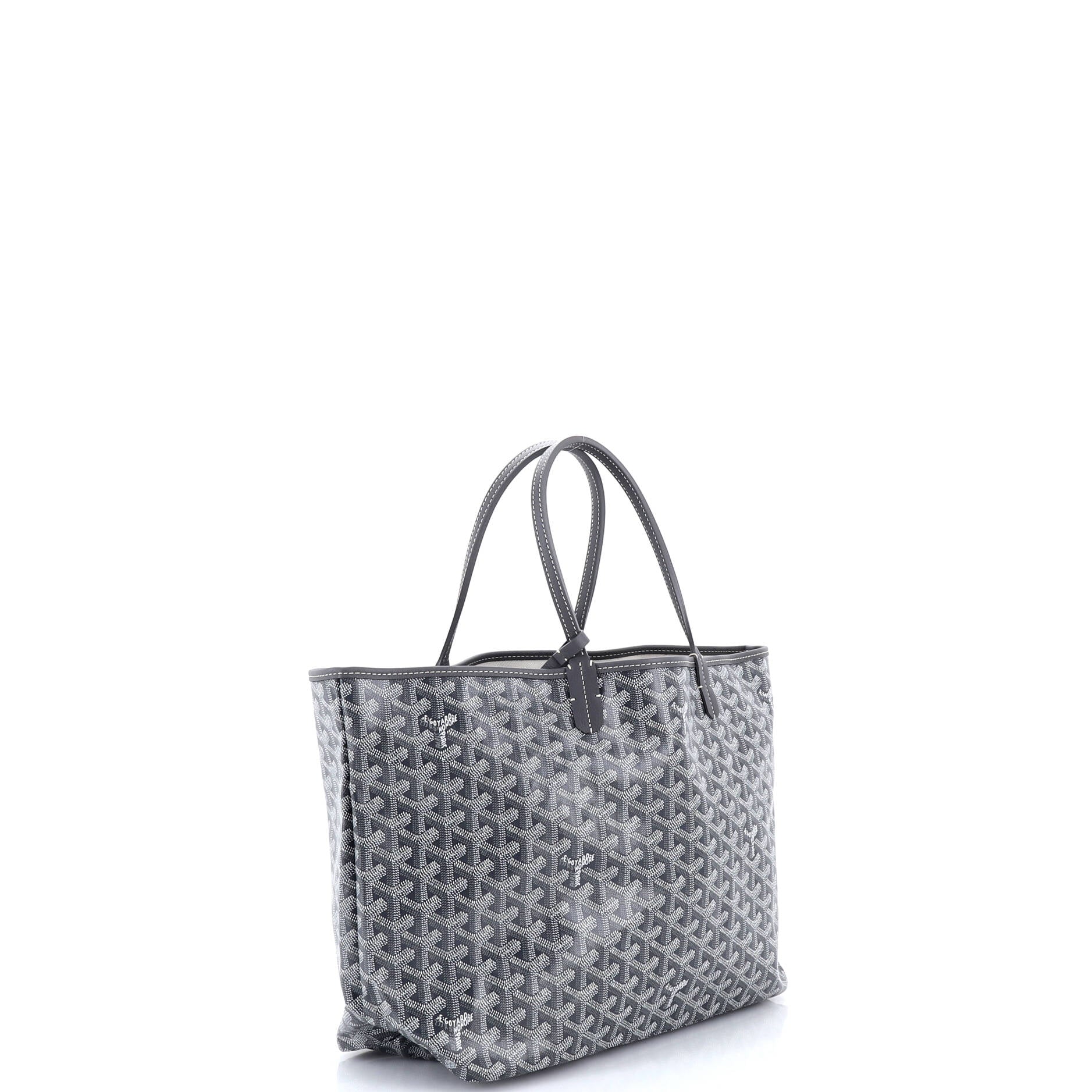 Saint Louis Tote Coated Canvas PM