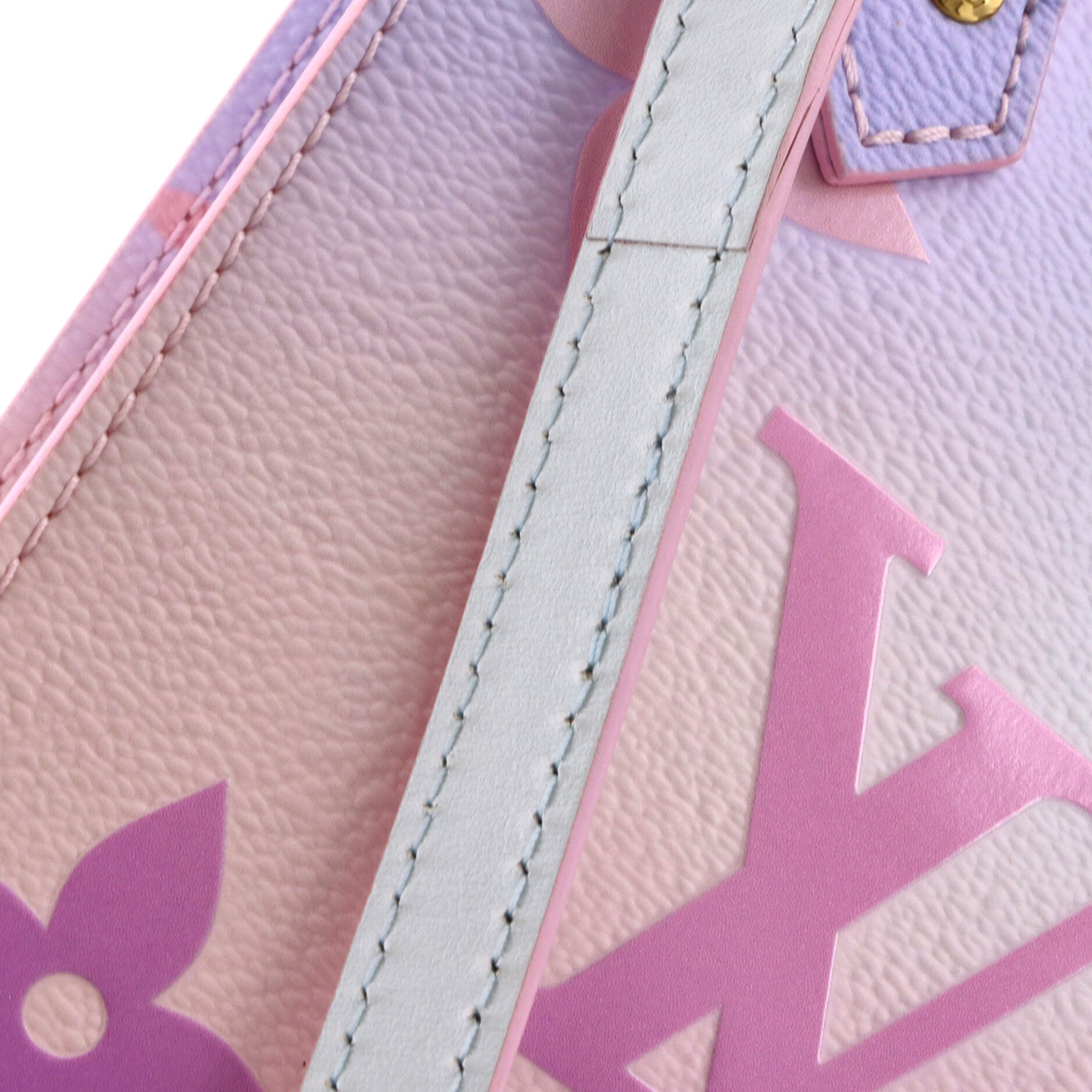 Petit Sac Plat Bag Spring in the City Monogram Giant Canvas