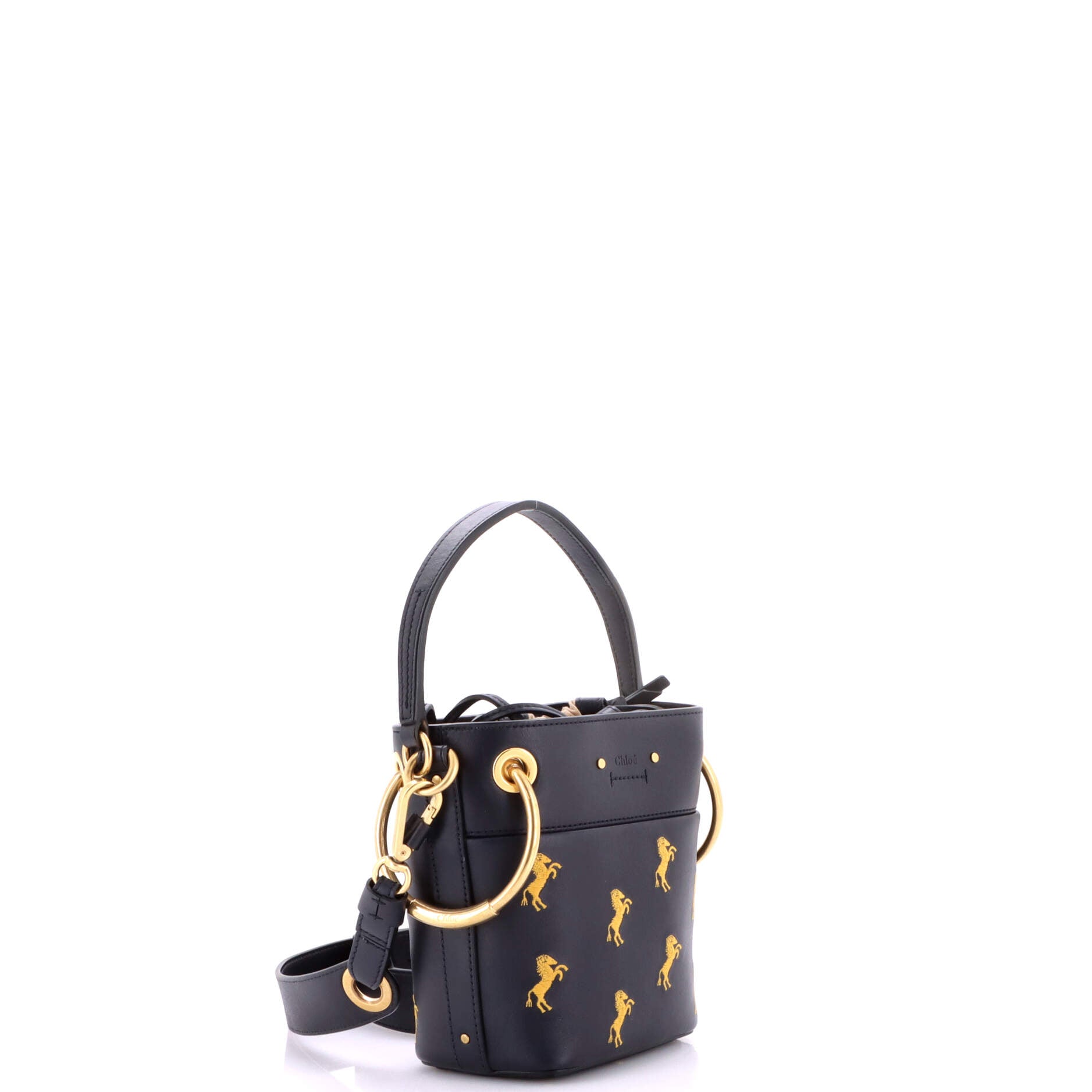 Roy Bucket Bag Embroidered Leather Mini