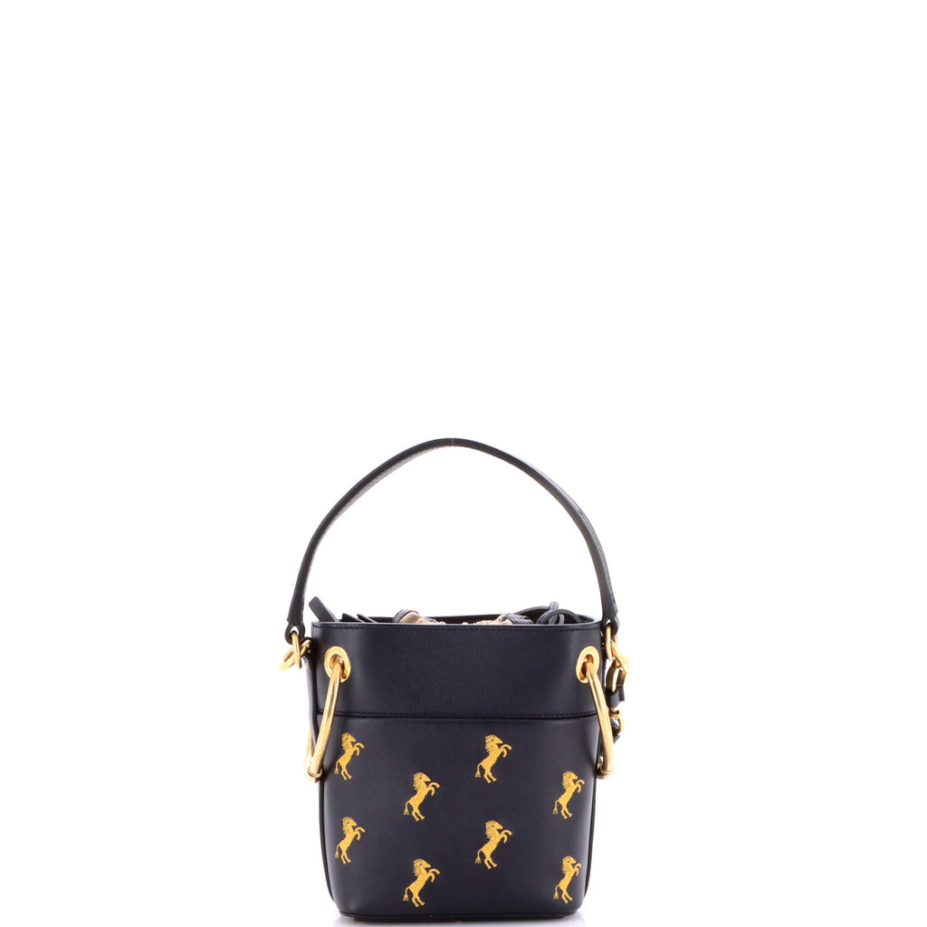 Roy Bucket Bag Embroidered Leather Mini