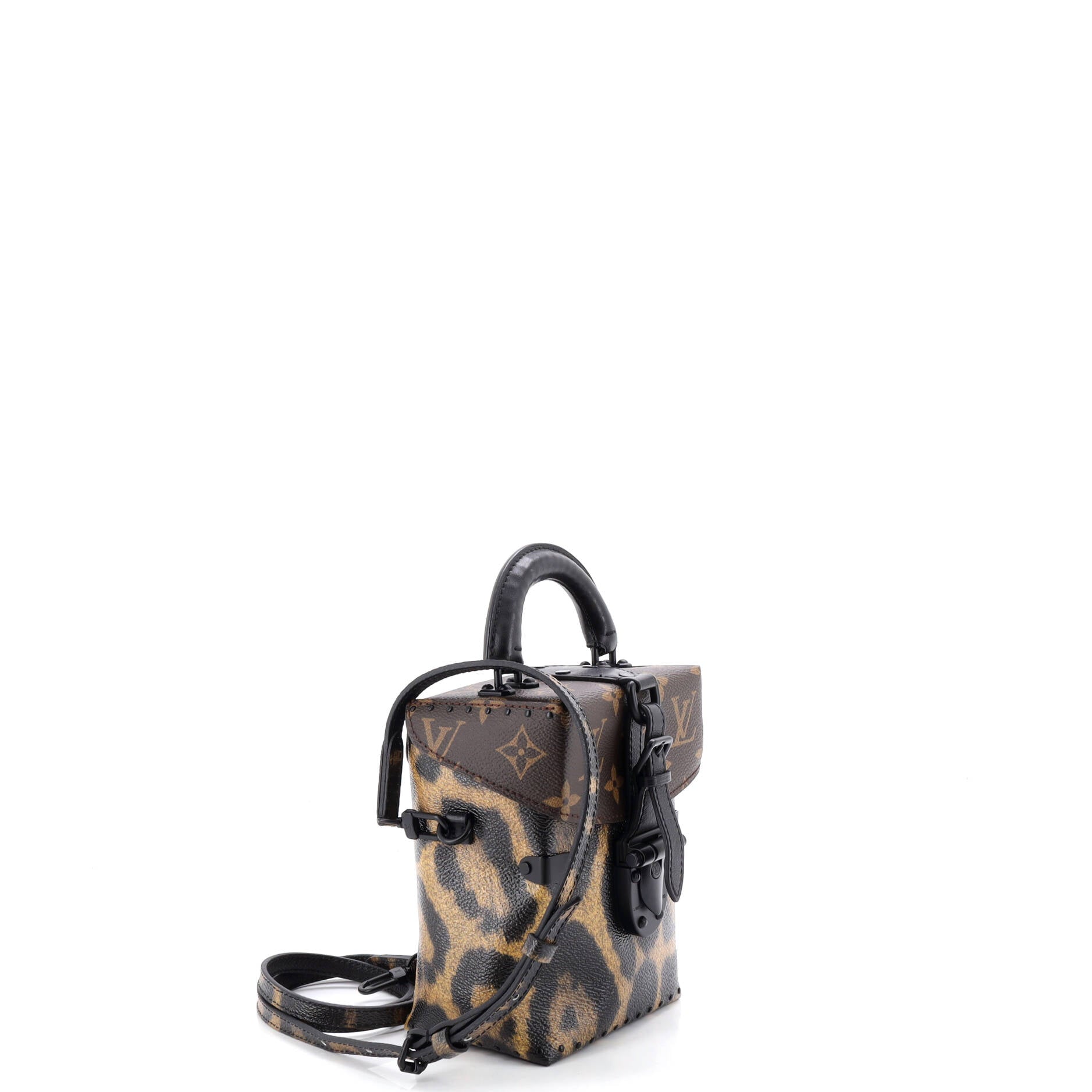 Camera Box Handbag Monogram Canvas and Wild Animal Print Canvas