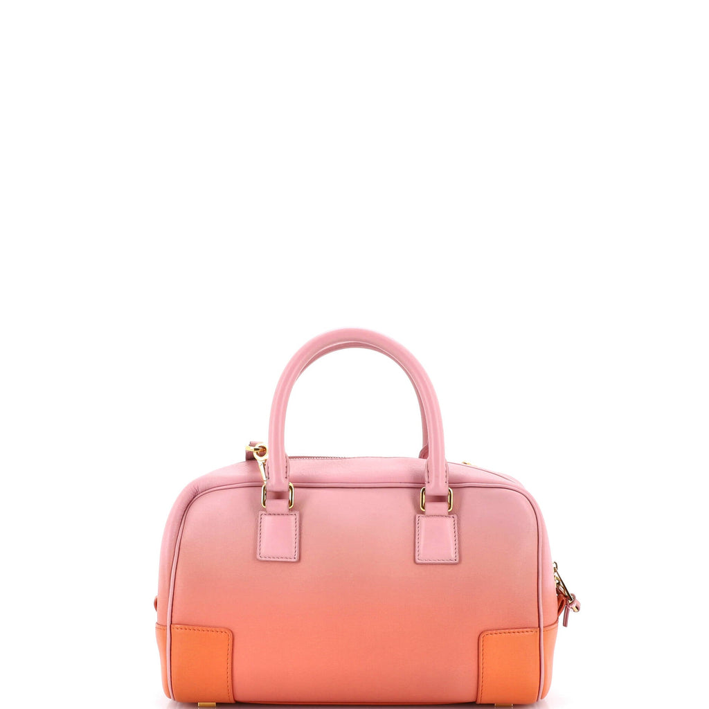 Amazona Bag Degrade Leather 23