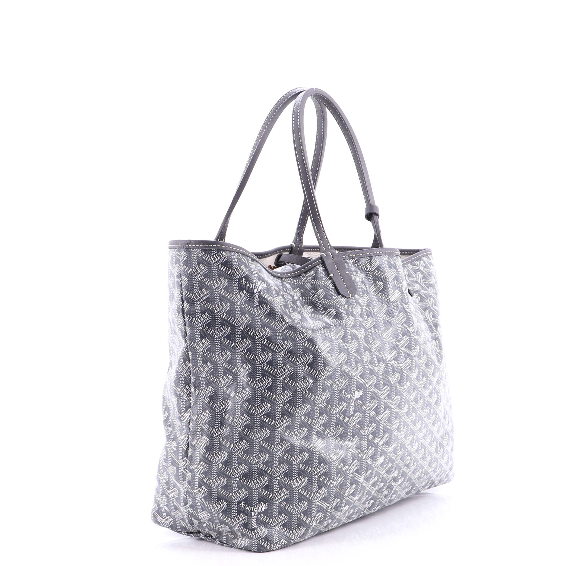 Saint Louis Tote Coated Canvas PM