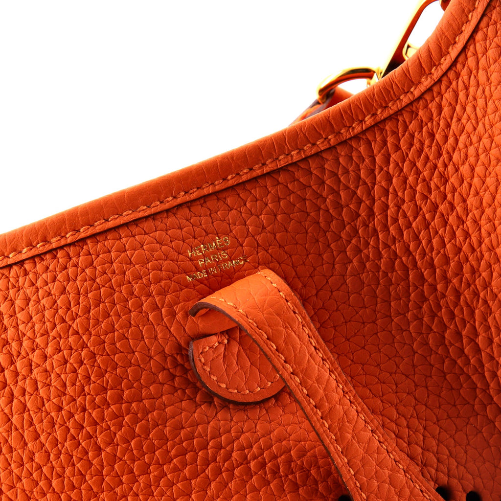 Evelyne Bag Gen III Clemence TPM