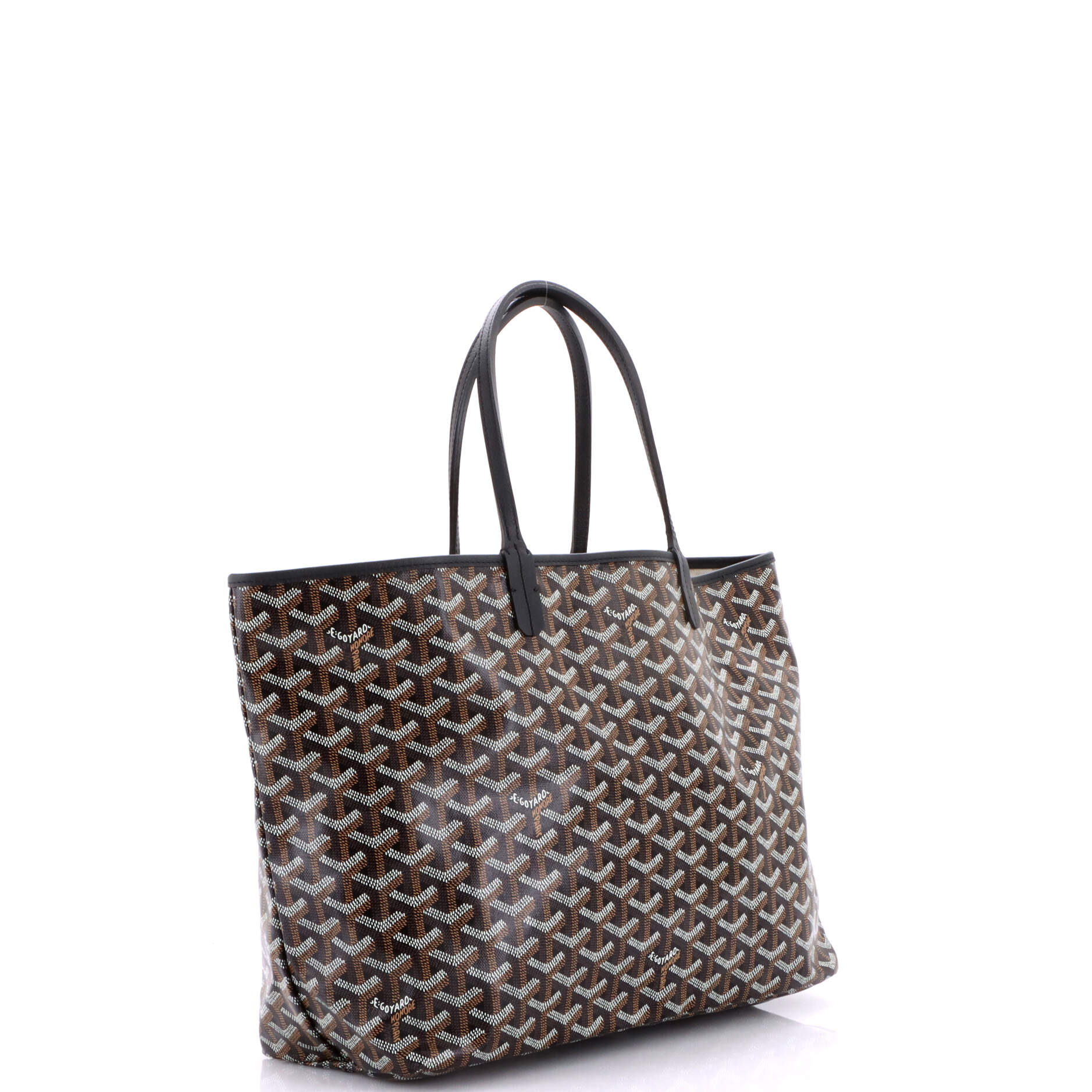 Saint Louis Tote Coated Canvas PM