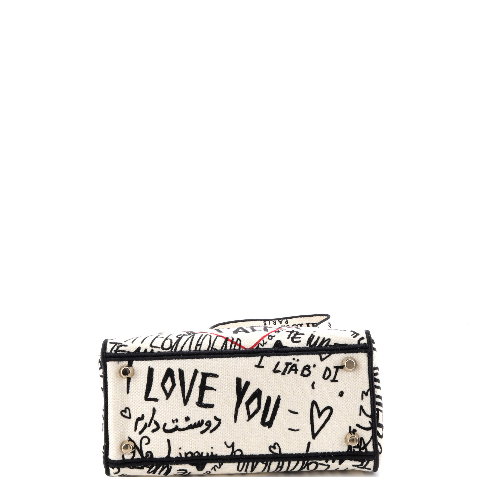 Lady D-Lite Bag Embroidered Canvas Medium