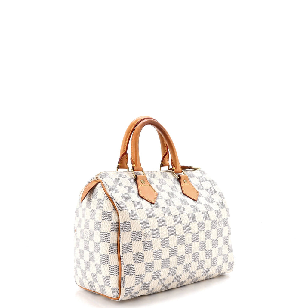 Speedy Handbag Damier 25