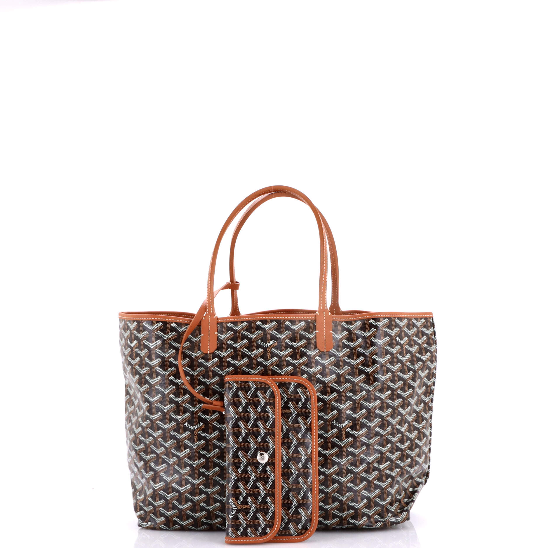 Saint Louis Tote Coated Canvas PM