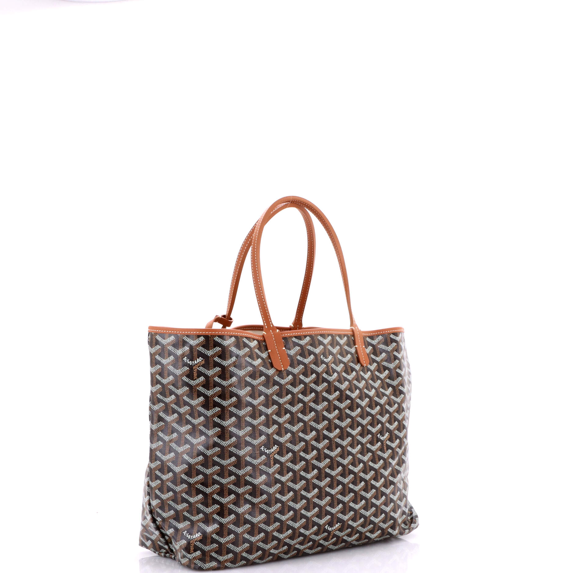 Saint Louis Tote Coated Canvas PM
