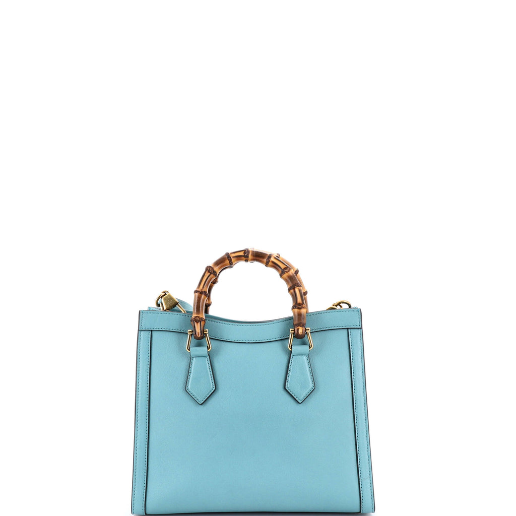 Diana NM Bamboo Handle Tote Leather Small
