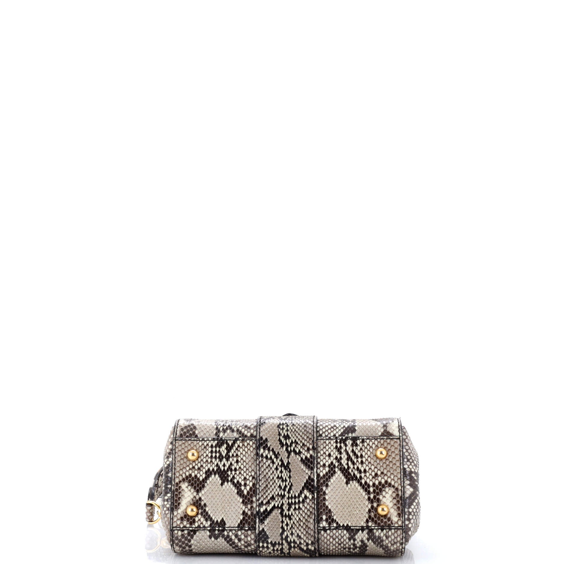 Buckle Tote Python Small