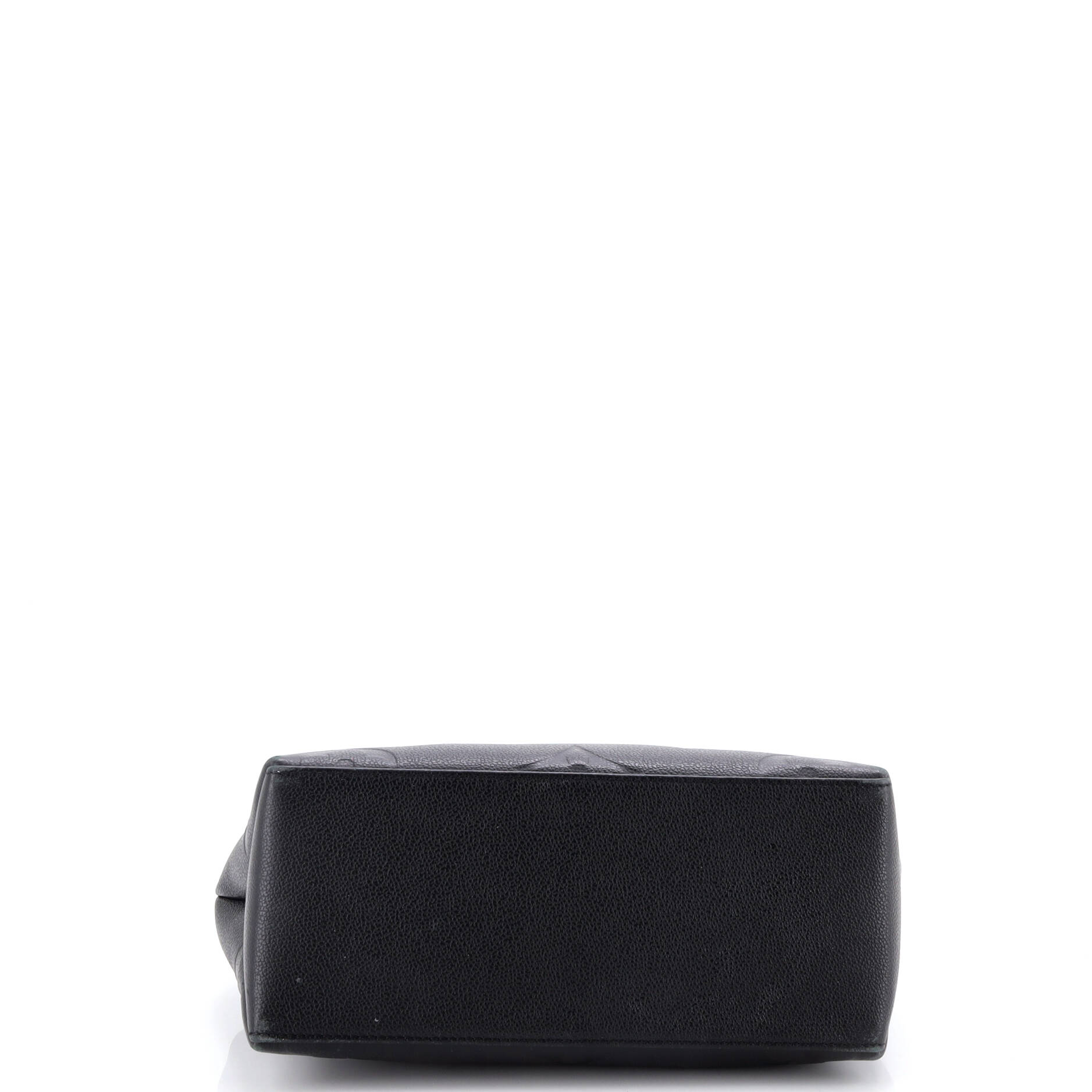 Petit Palais Handbag Monogram Empreinte Giant