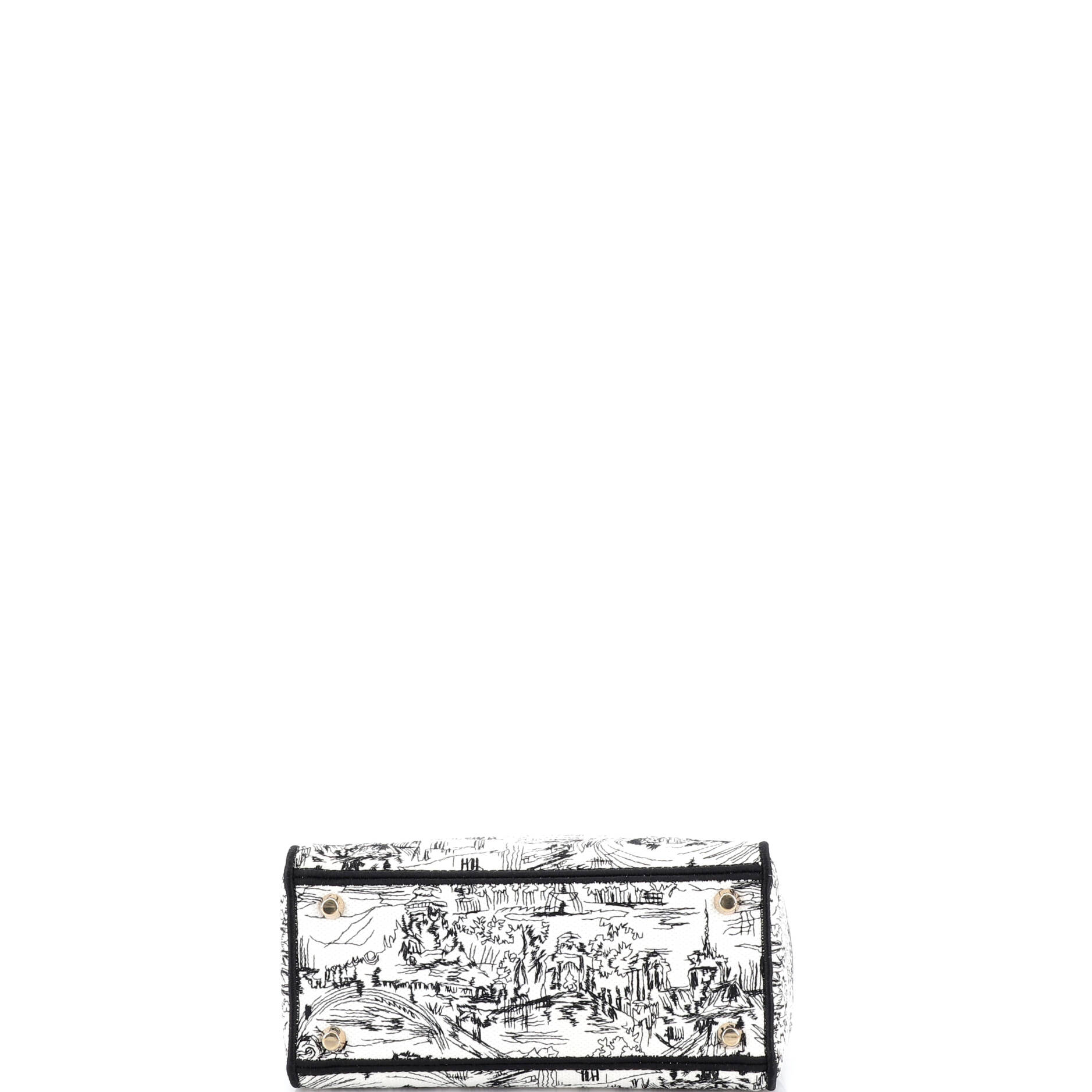 Lady D-Lite Bag Embroidered Canvas Medium