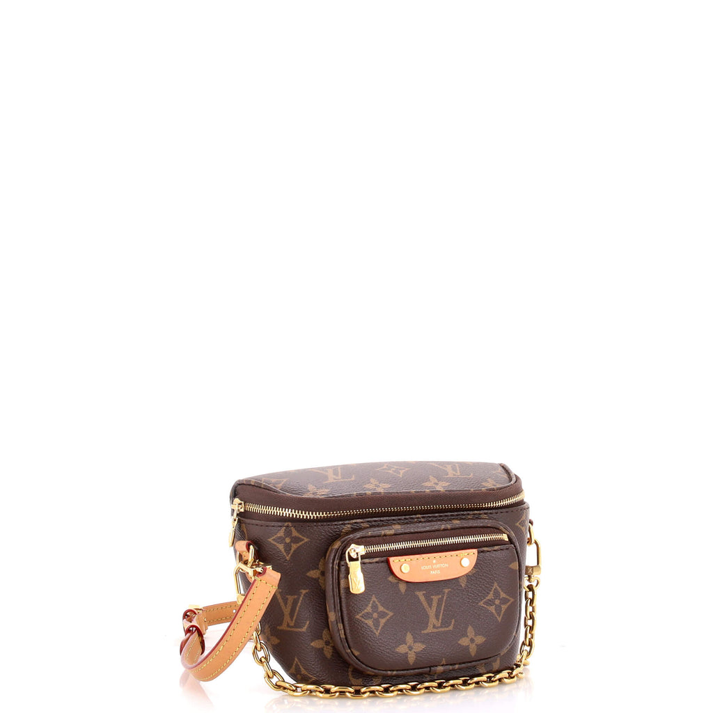 Bum Bag Monogram Canvas Mini