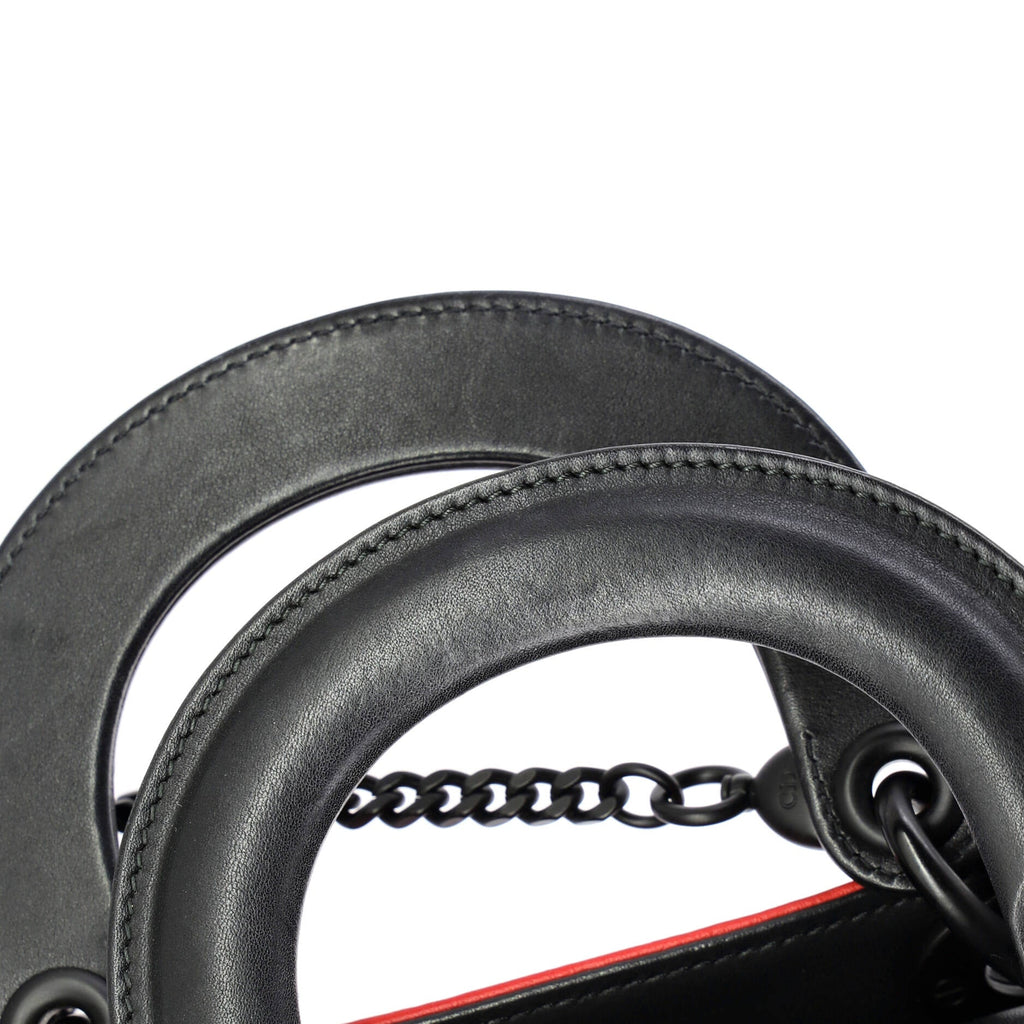 Lady Dior Bag Embellished Leather Mini