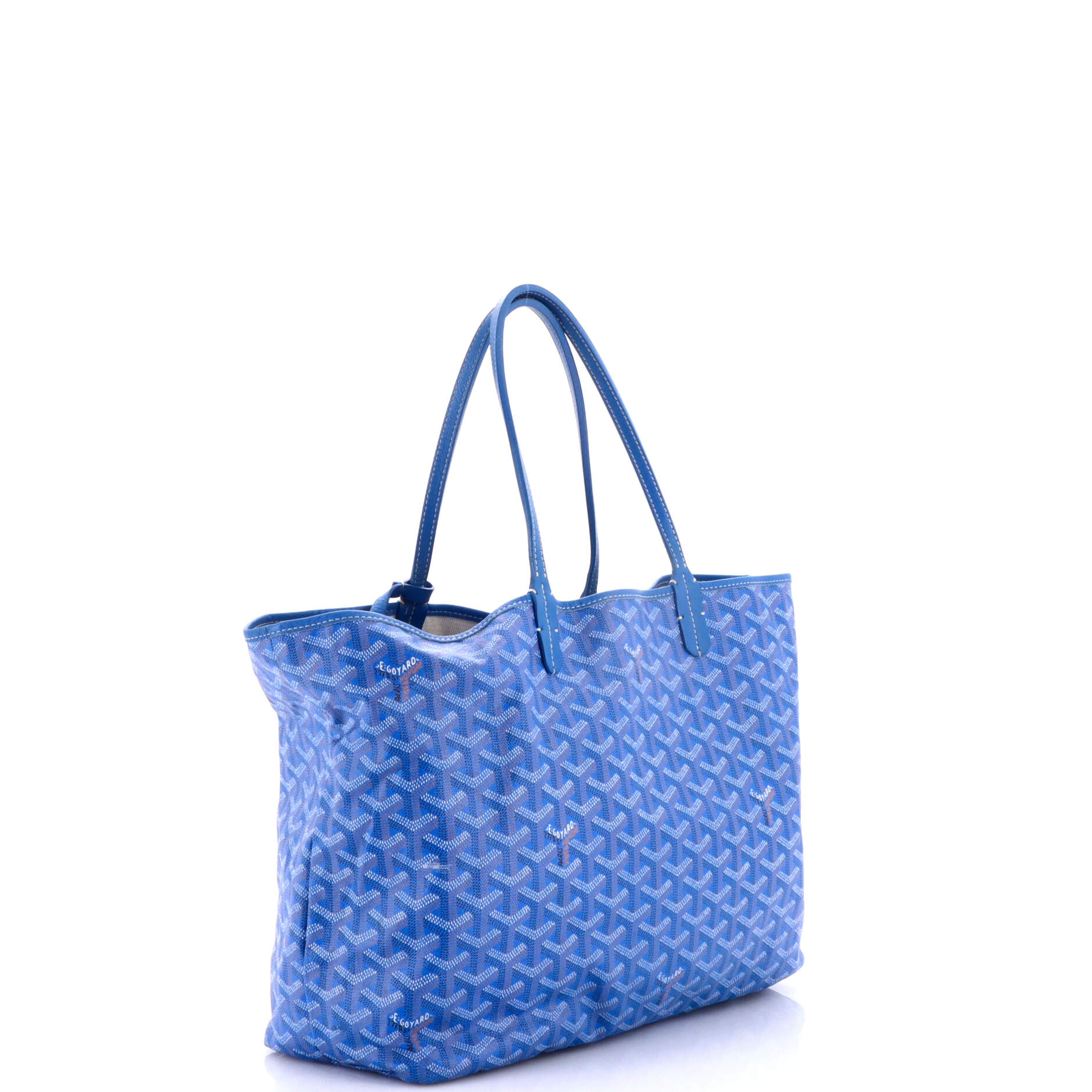 Saint Louis Tote Coated Canvas PM