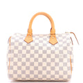 Speedy Handbag Damier 25