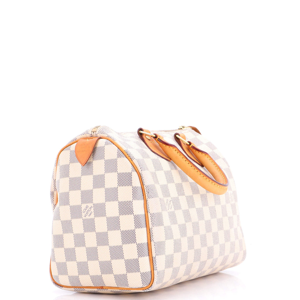 Speedy Handbag Damier 25
