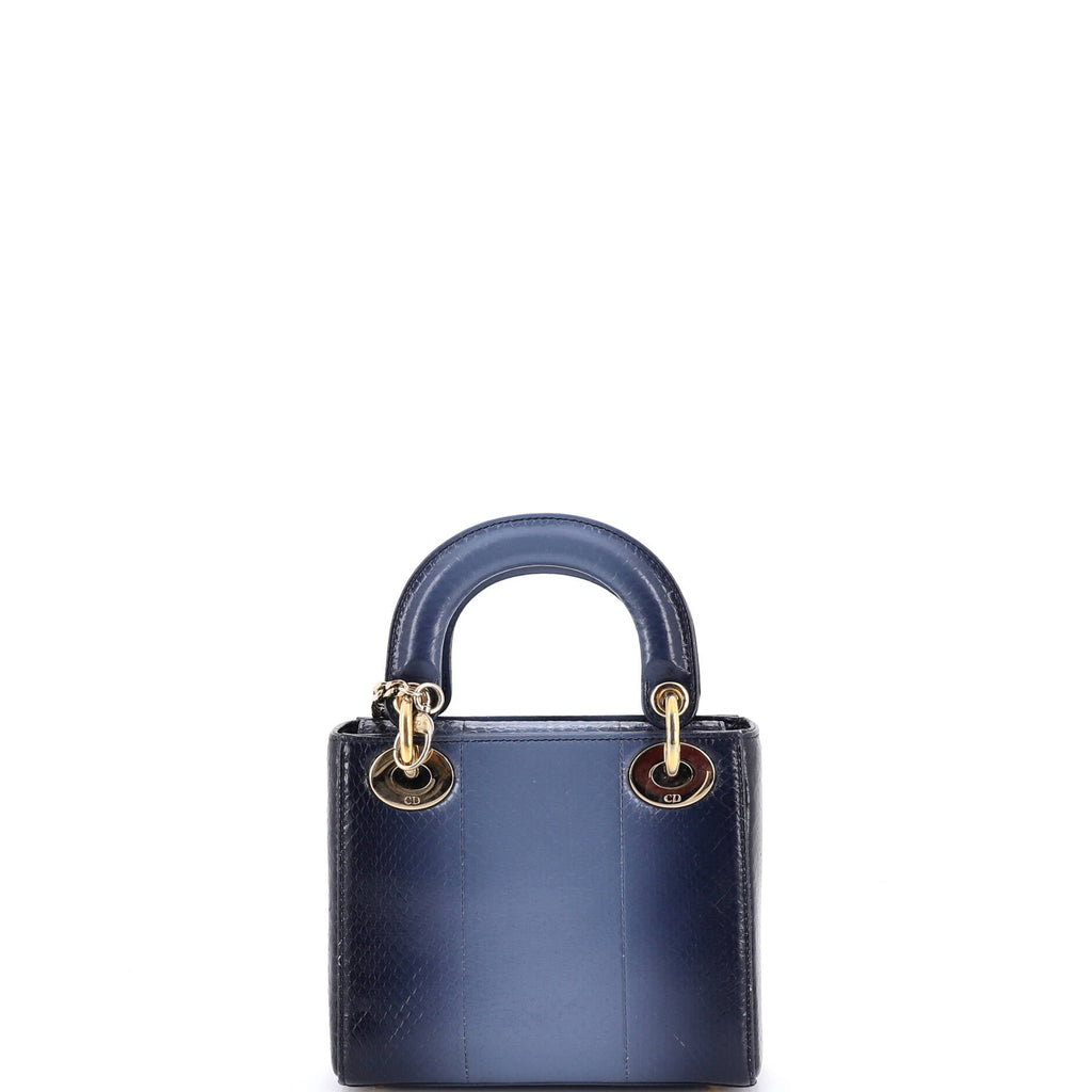 Lady Dior Chain Bag Python Mini