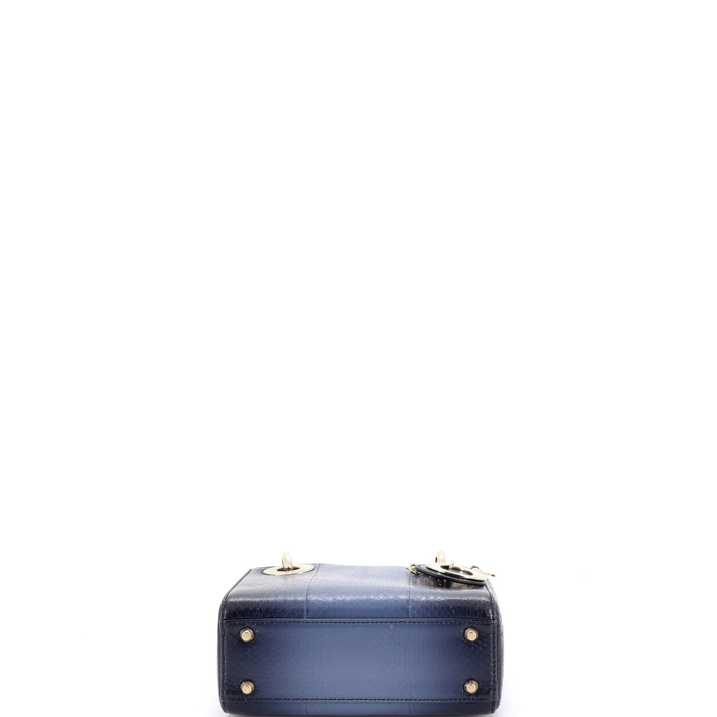 Lady Dior Chain Bag Python Mini