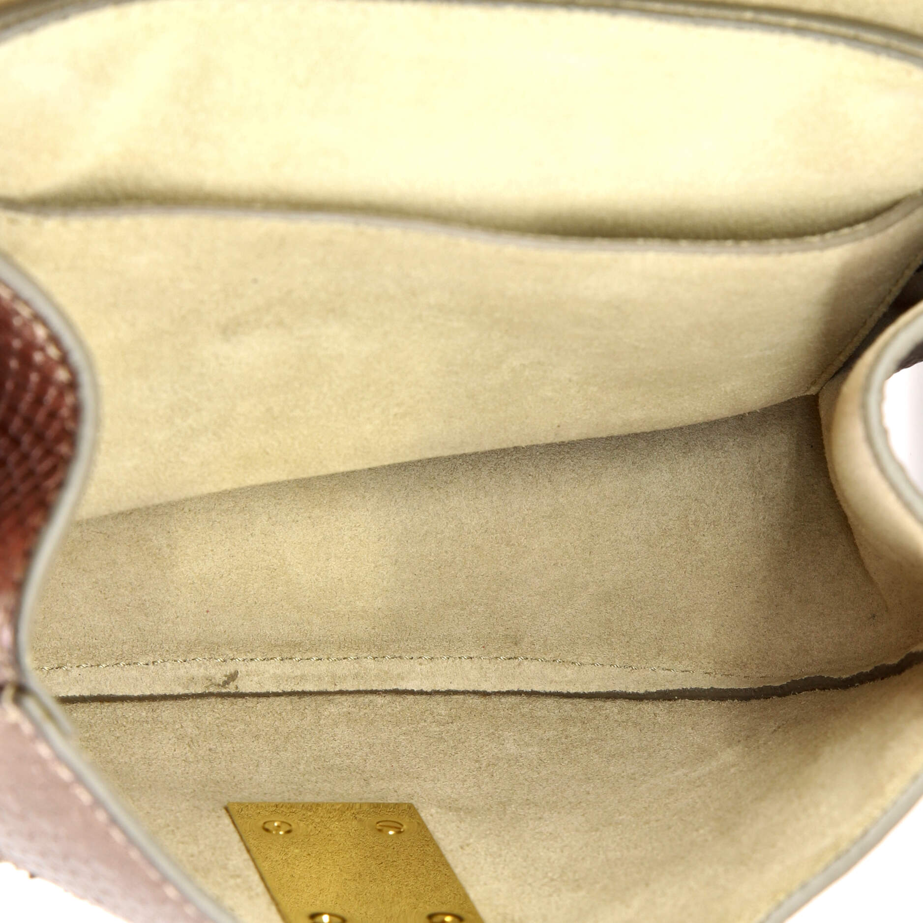Drew Crossbody Bag Python Mini