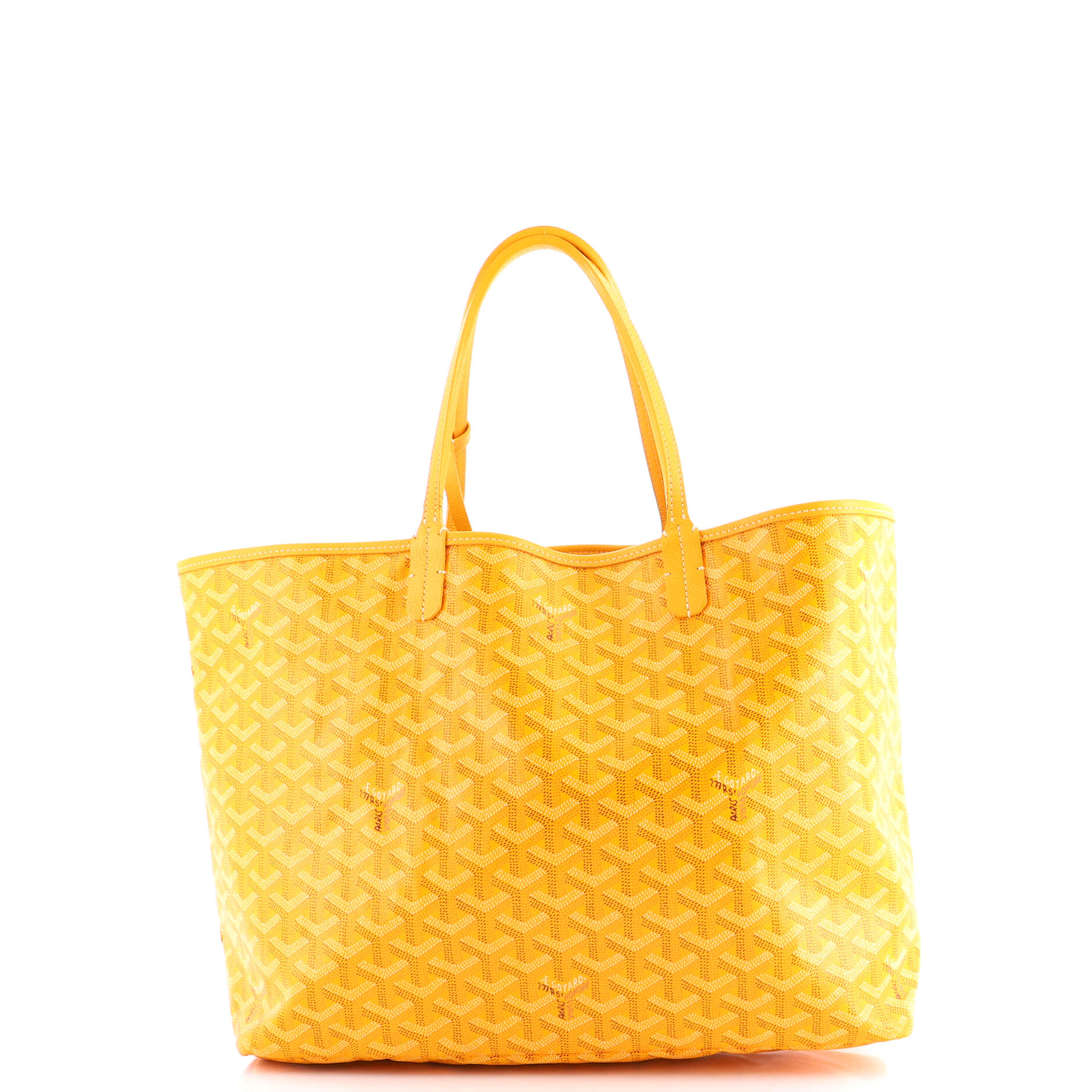 Saint Louis Tote Coated Canvas PM