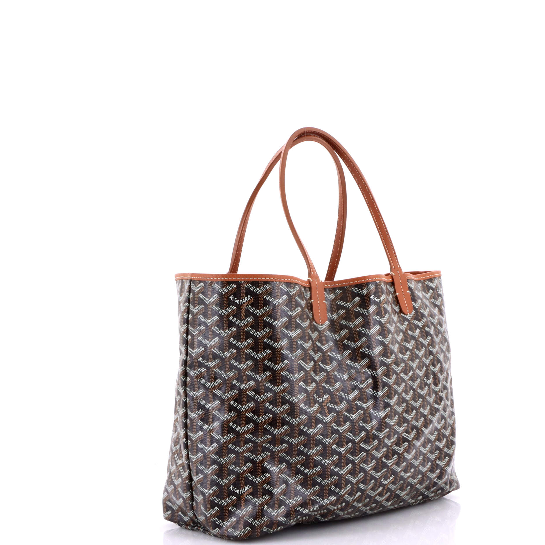 Saint Louis Tote Coated Canvas PM