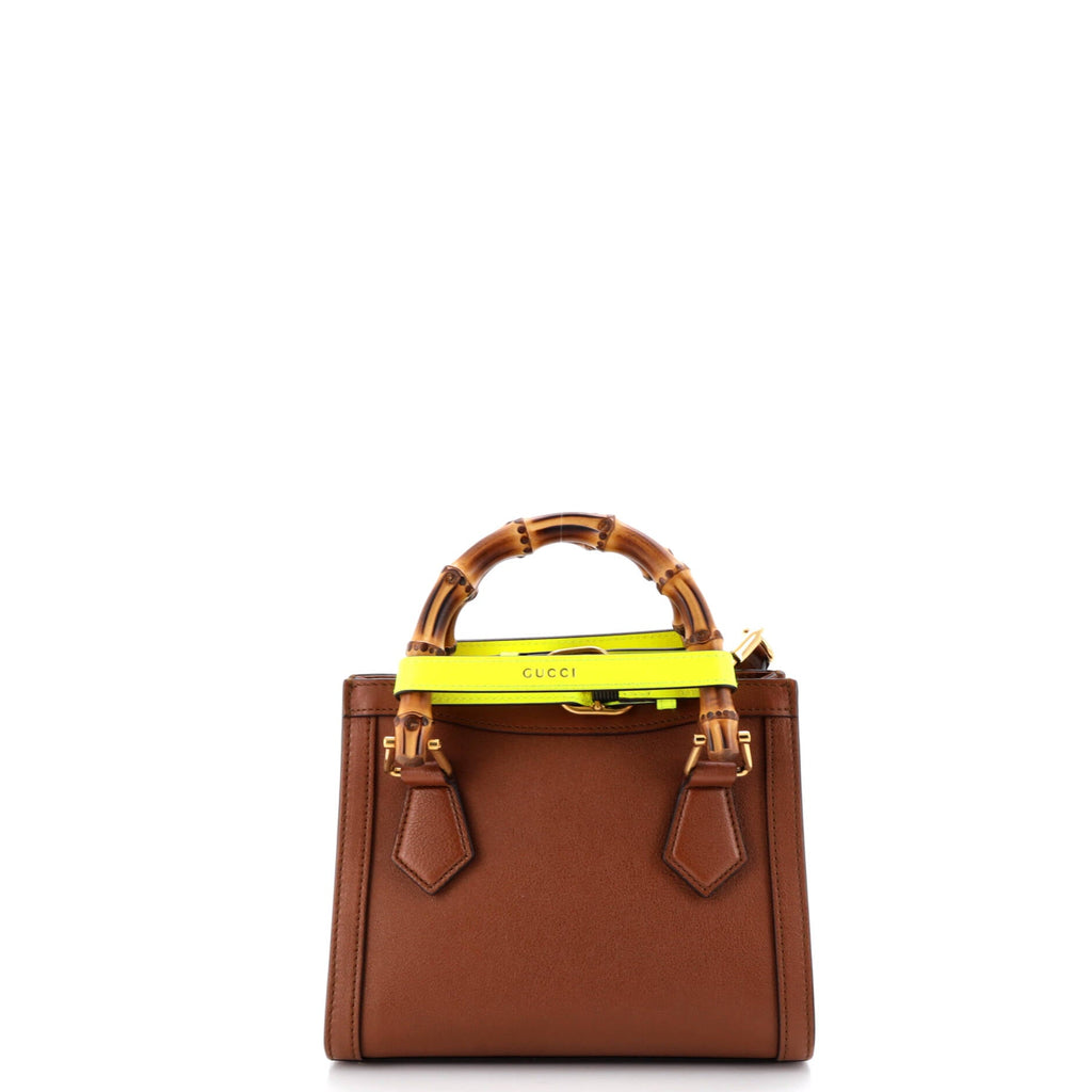 Diana NM Bamboo Handle Tote Leather Mini