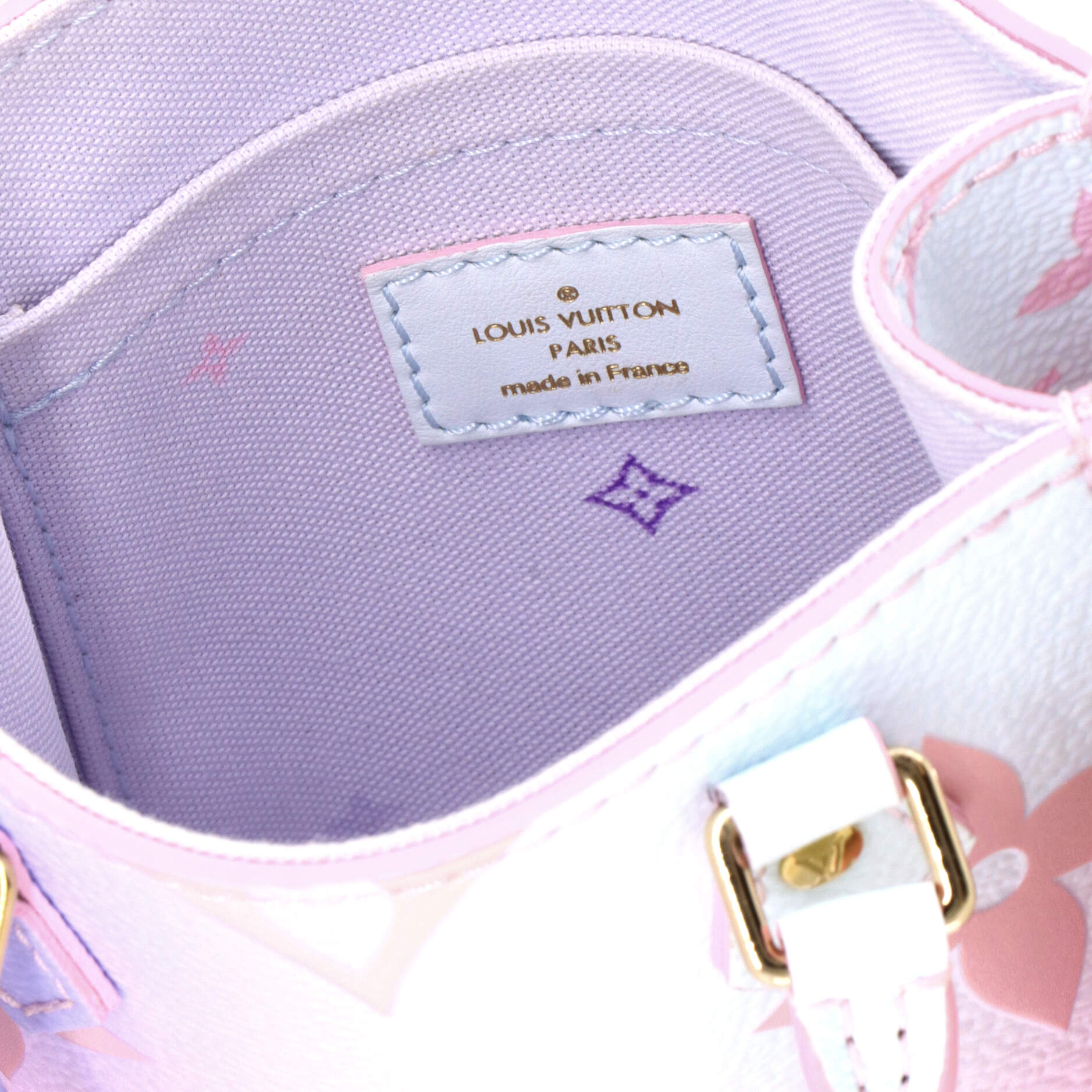 Petit Sac Plat Bag Spring in the City Monogram Giant Canvas