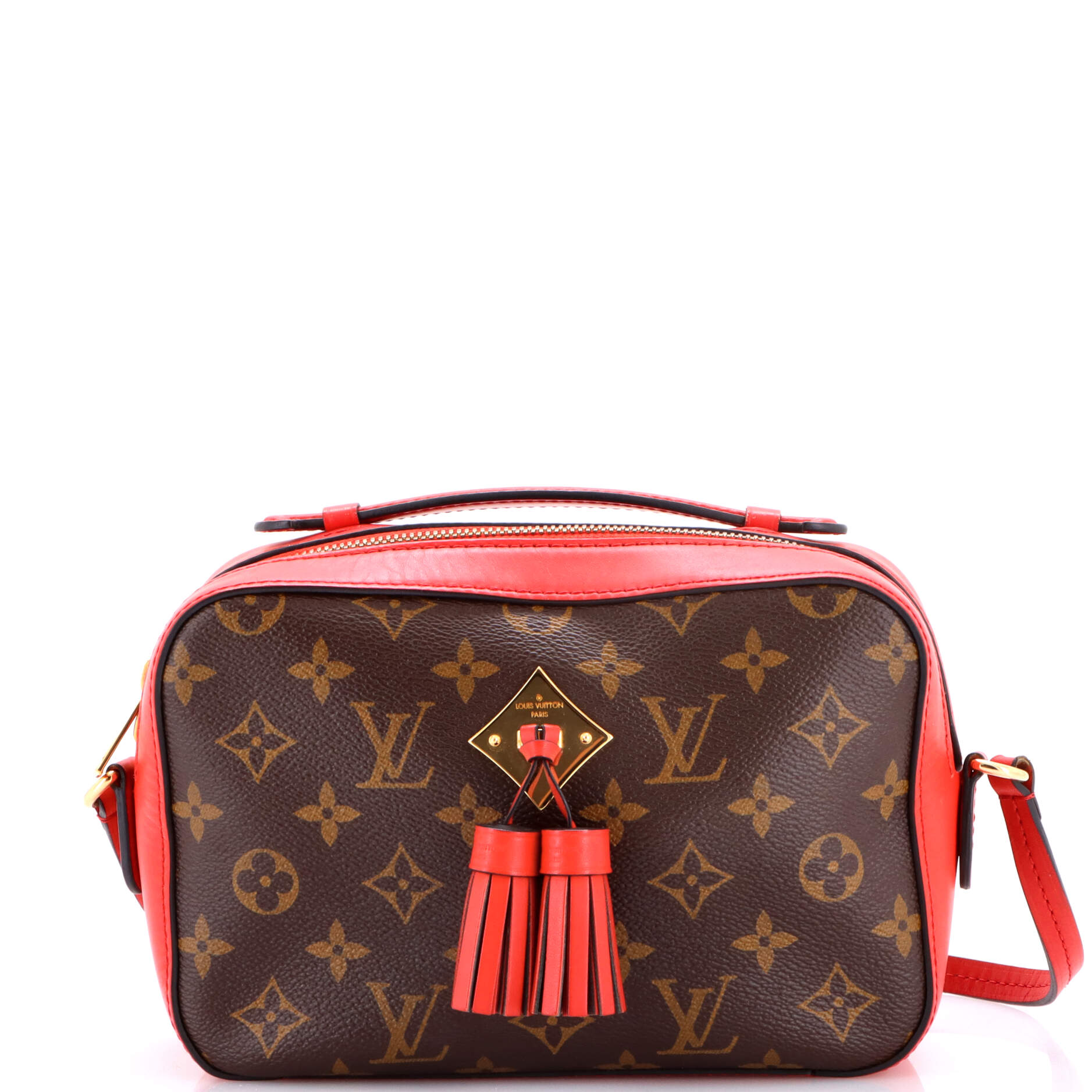 Saintonge Handbag Monogram Canvas with Leather
