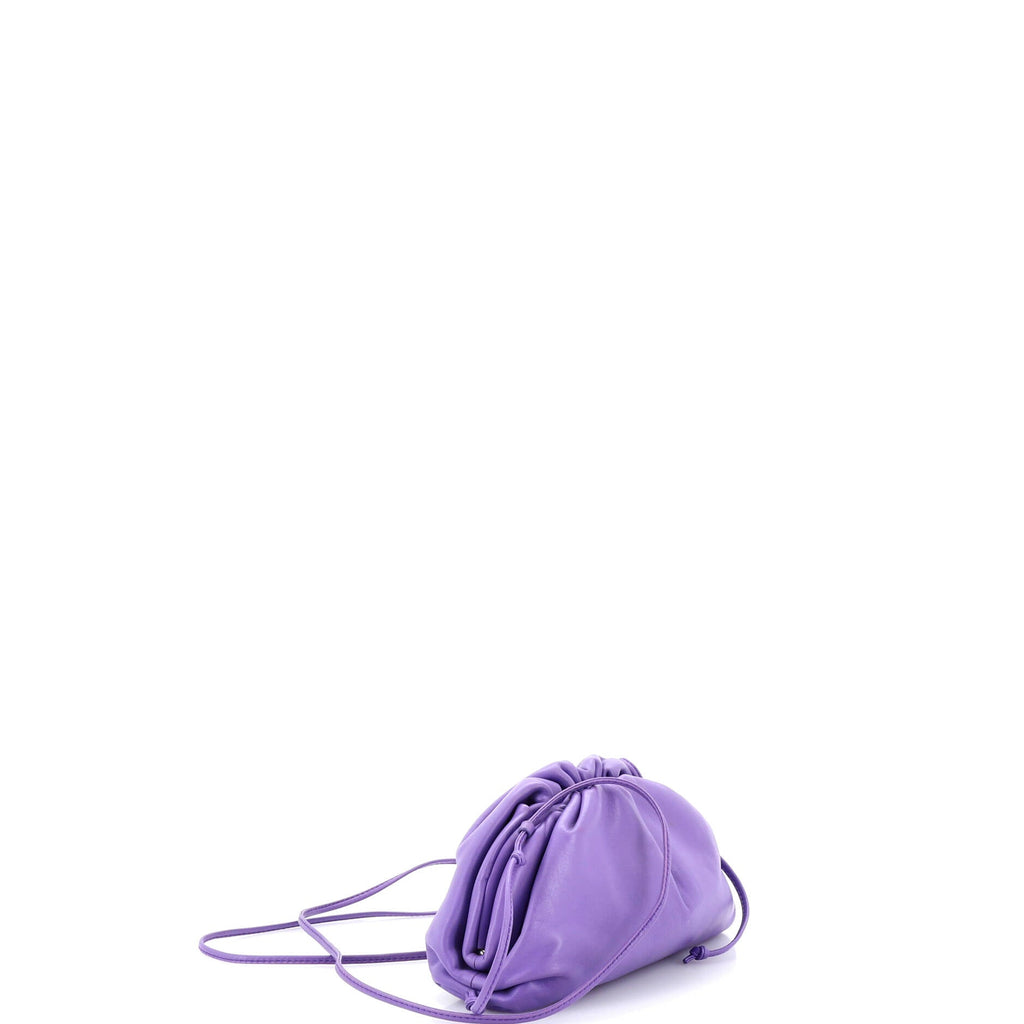 The Pouch Leather Mini