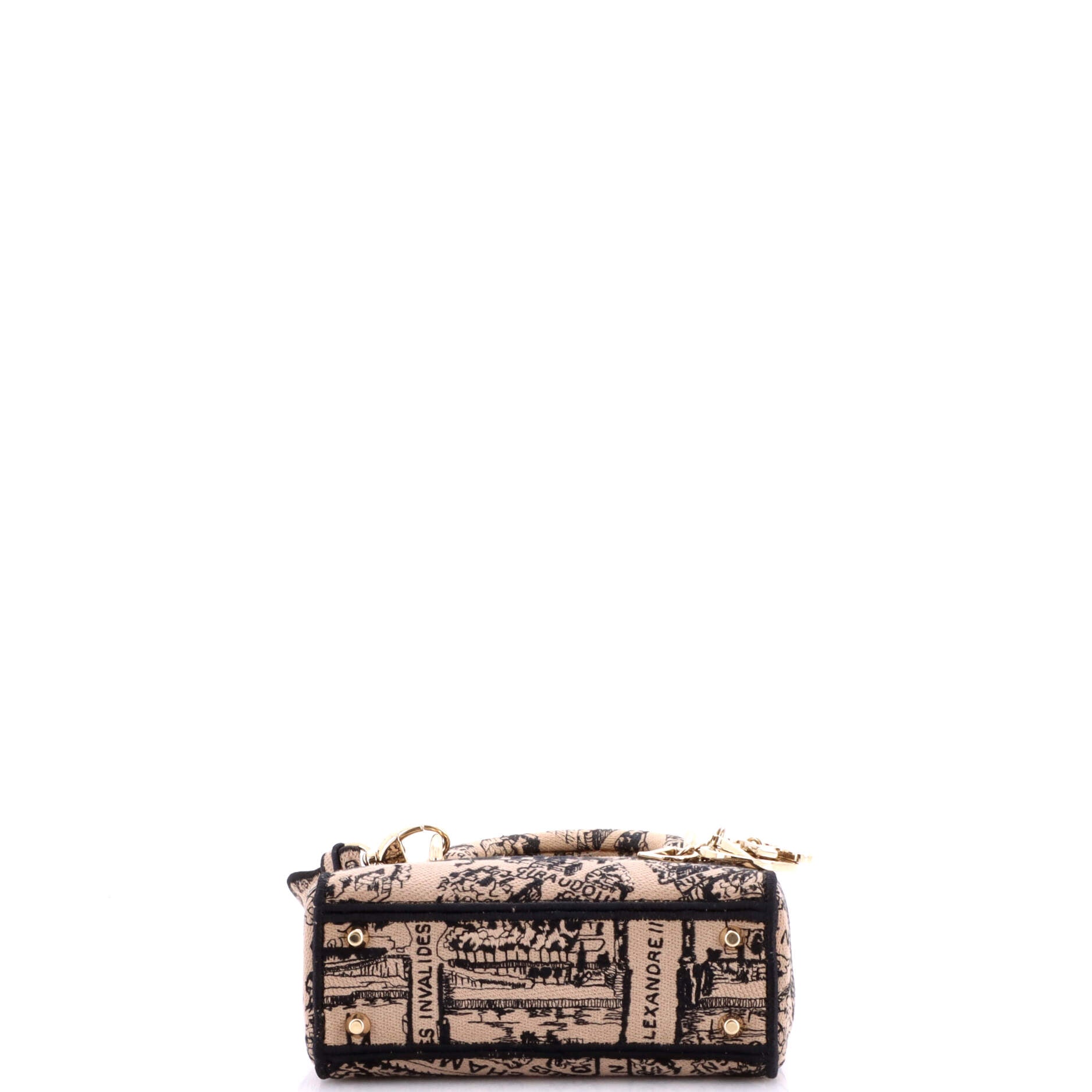 Lady D-Lite Bag Embroidered Canvas Mini