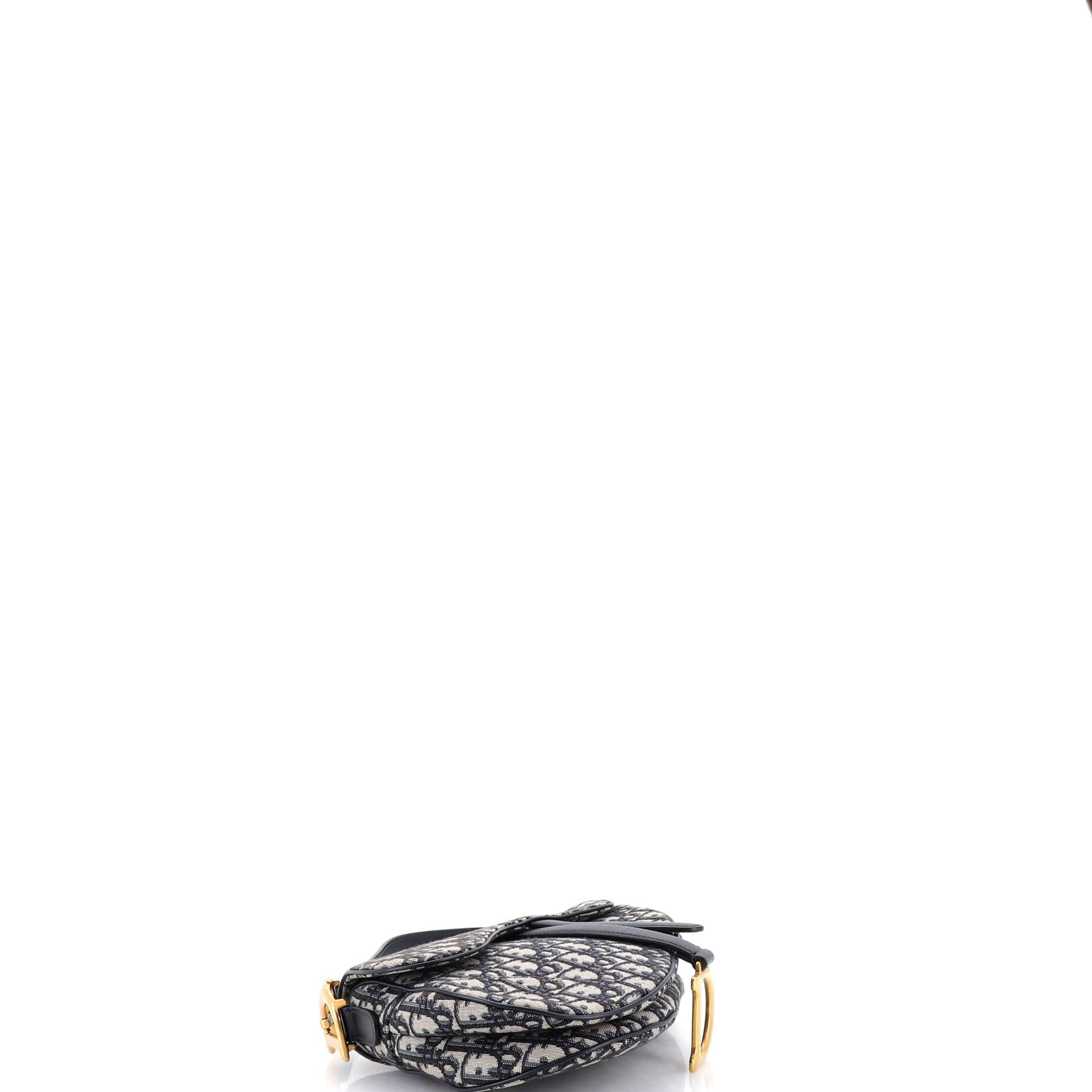 Saddle Handbag Oblique Canvas Medium