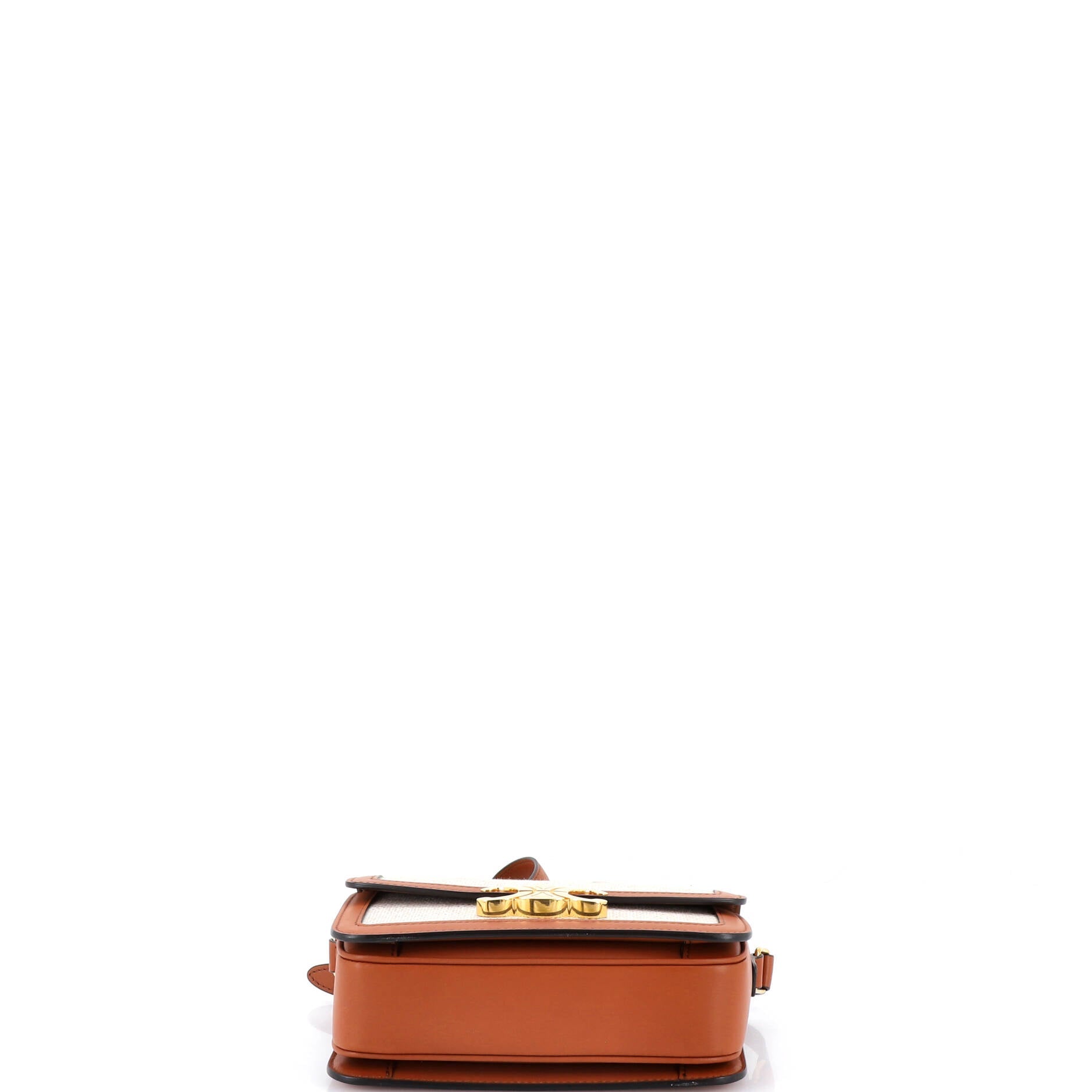 Triomphe Shoulder Bag Canvas with Leather Teen