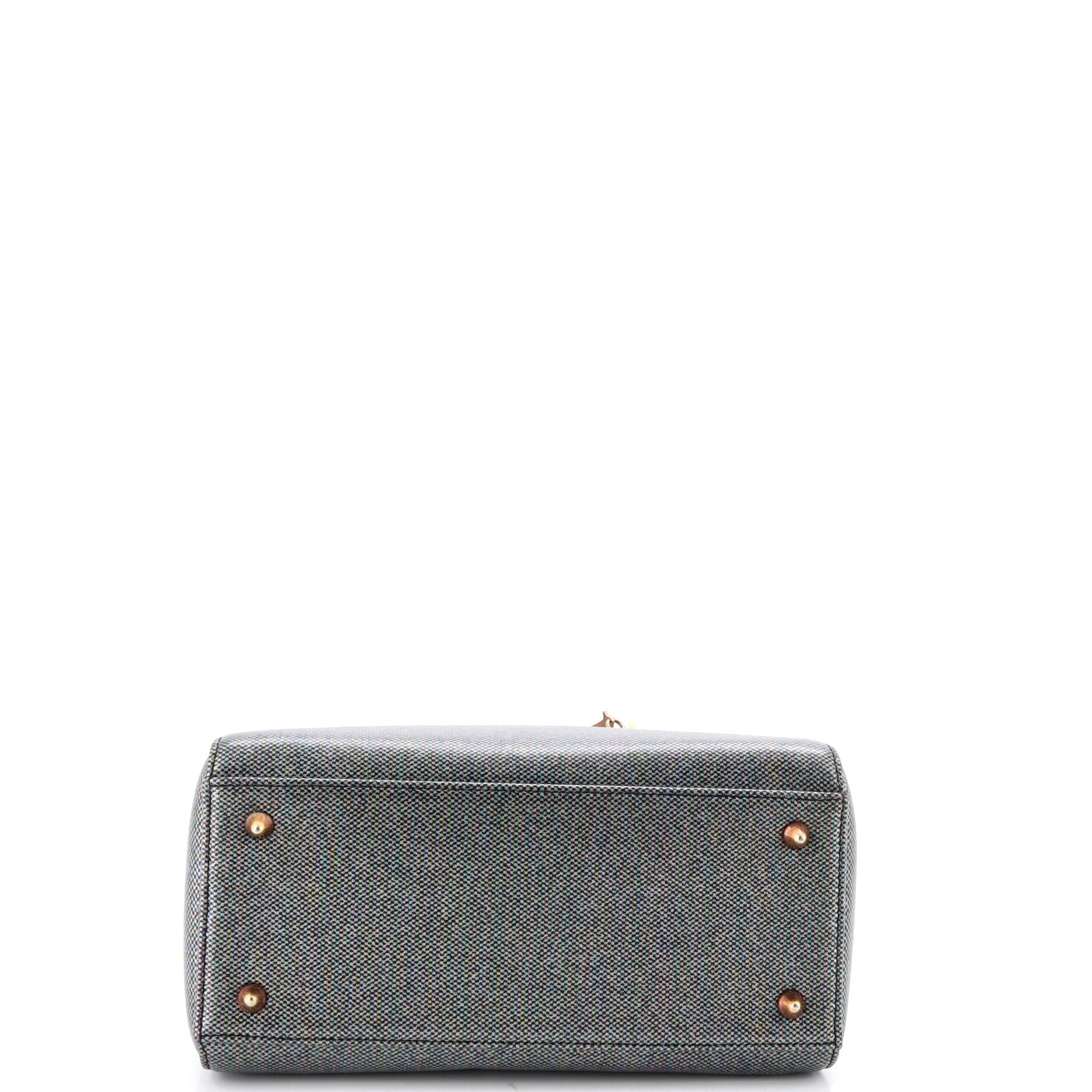 Lady Dior Bag Metallic Leather Medium