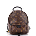 Palm Springs Backpack Monogram Canvas Mini