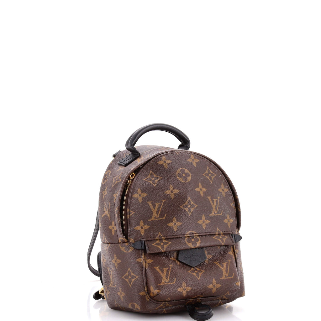 Palm Springs Backpack Monogram Canvas Mini